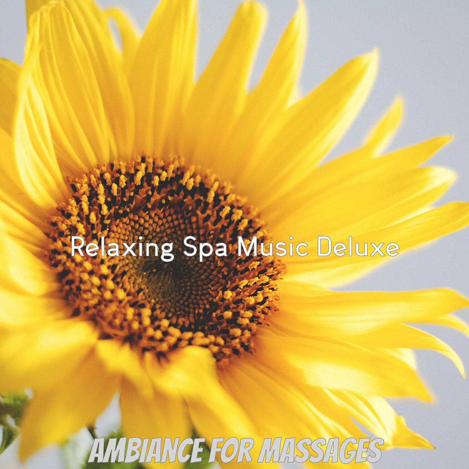 Relaxing Spa Music Deluxe - Mellow Ambiance for Massage Therapy