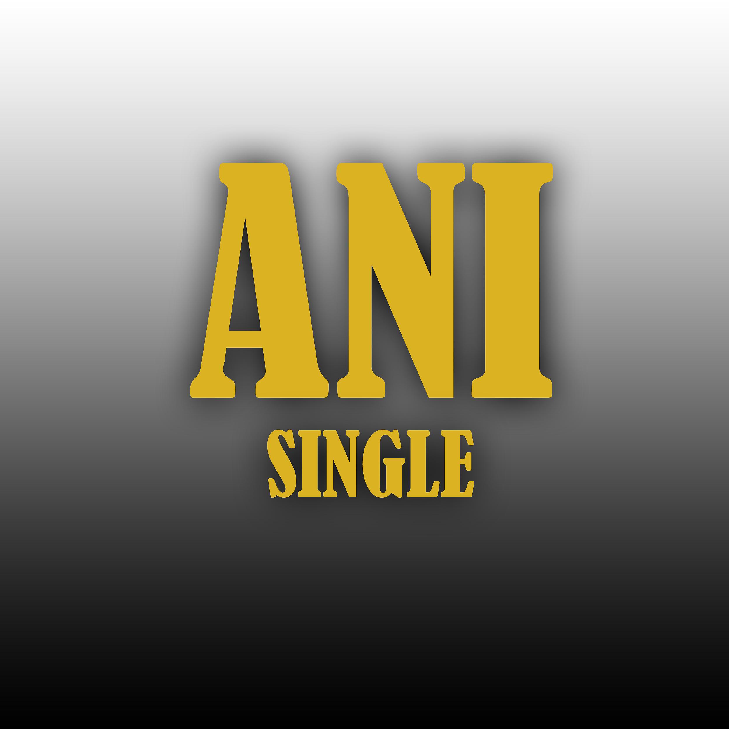 Постер альбома ANI