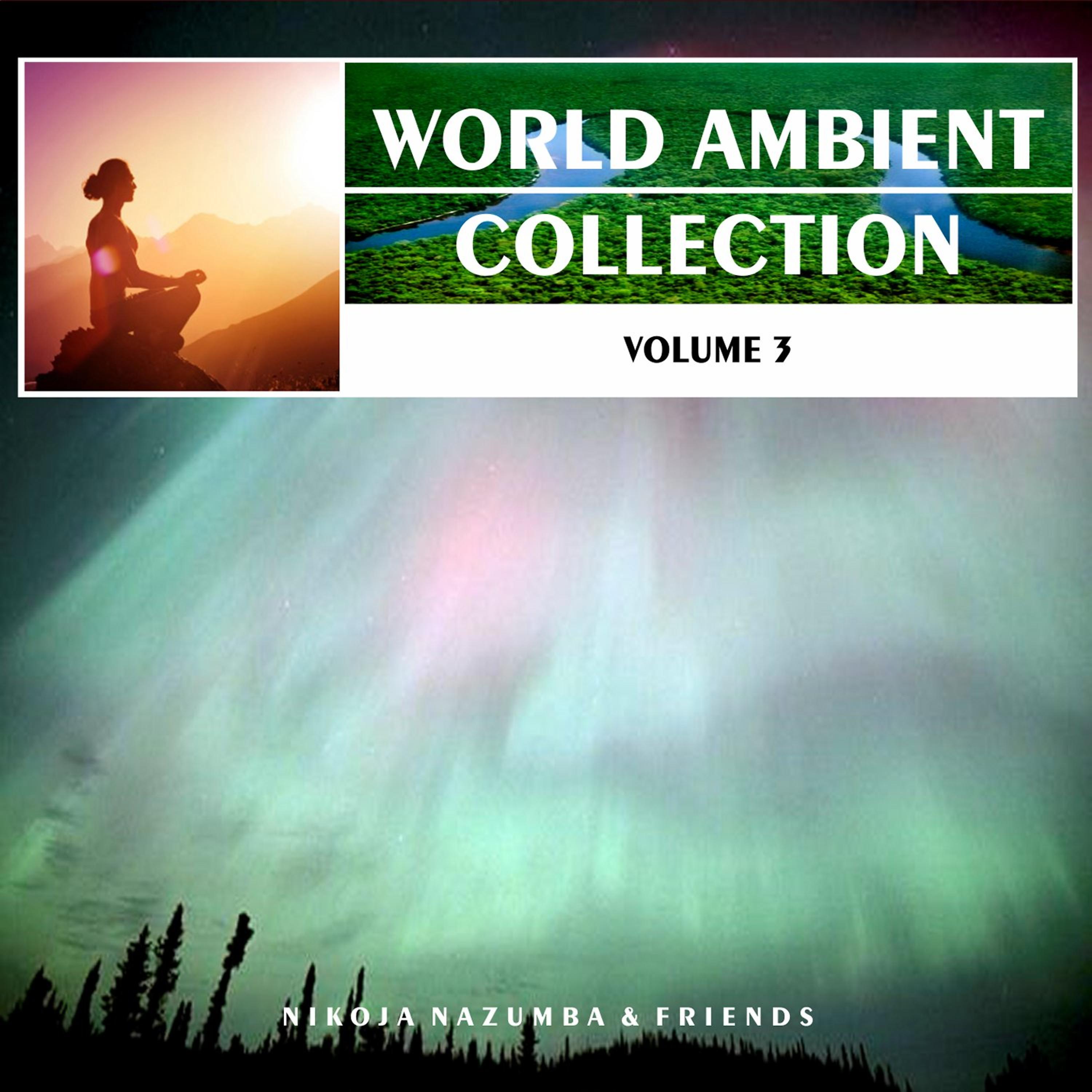 Постер альбома World Ambient Collection, Vol. 3