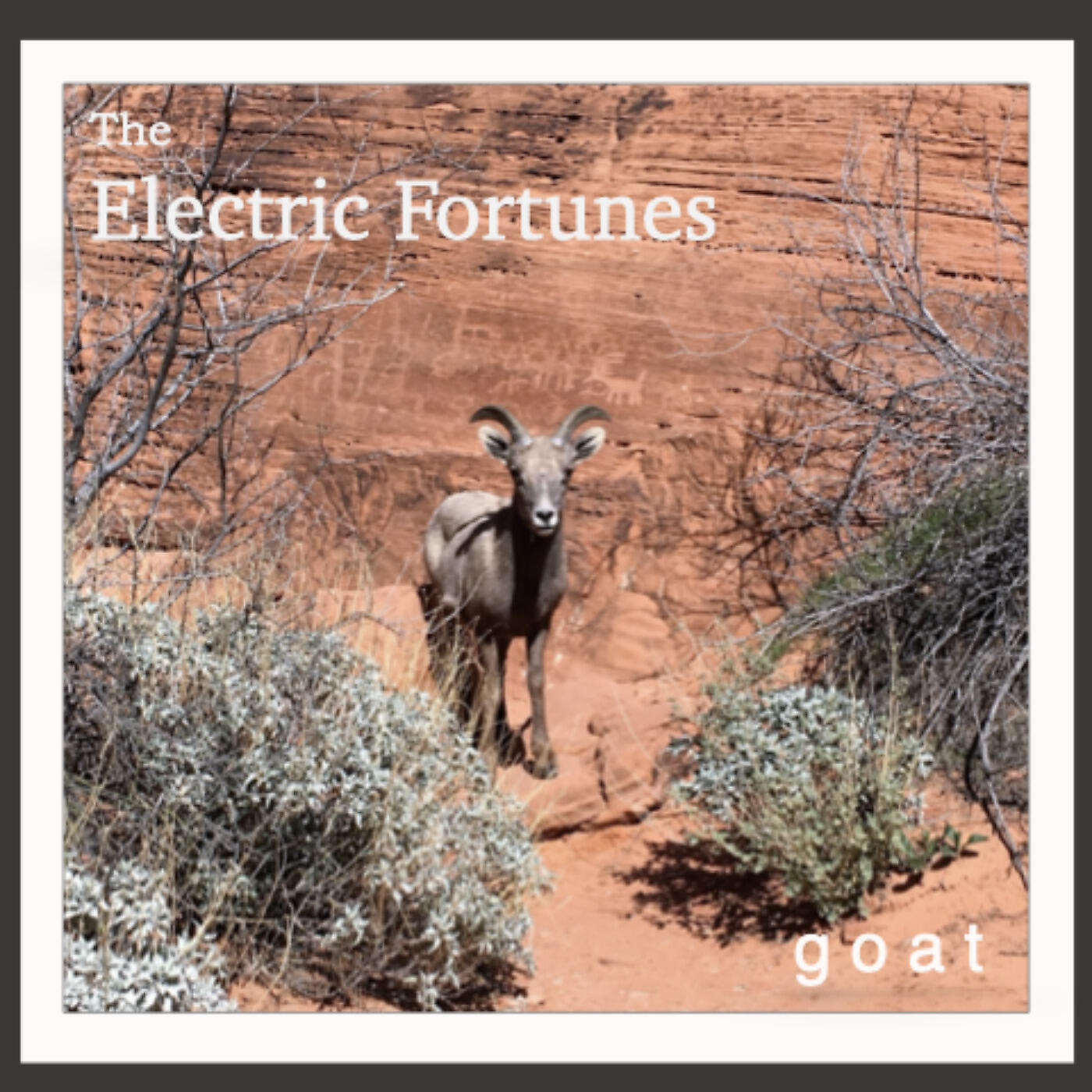 The Electric Fortunes - Anne Marie