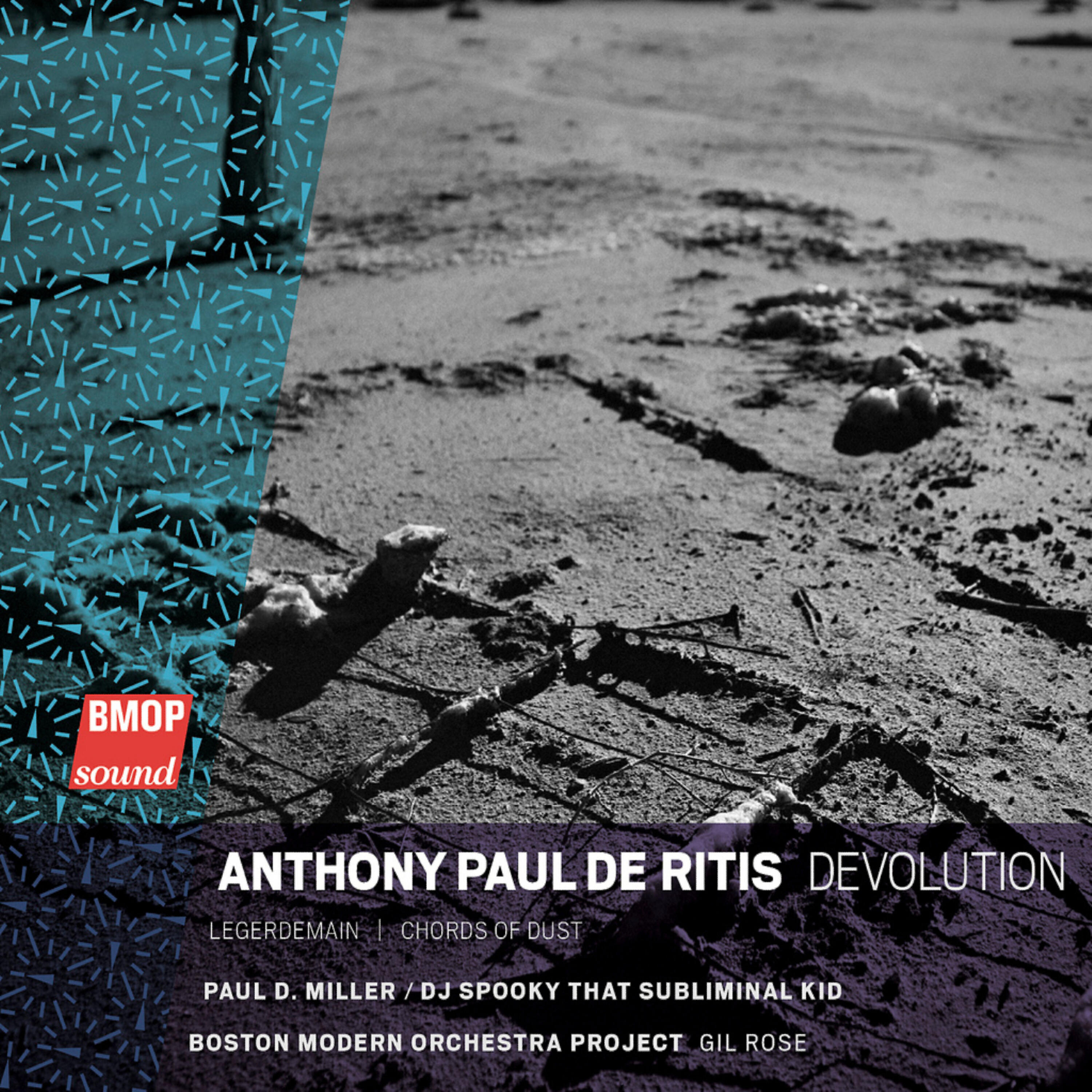 Paul D. Miller - Devolution