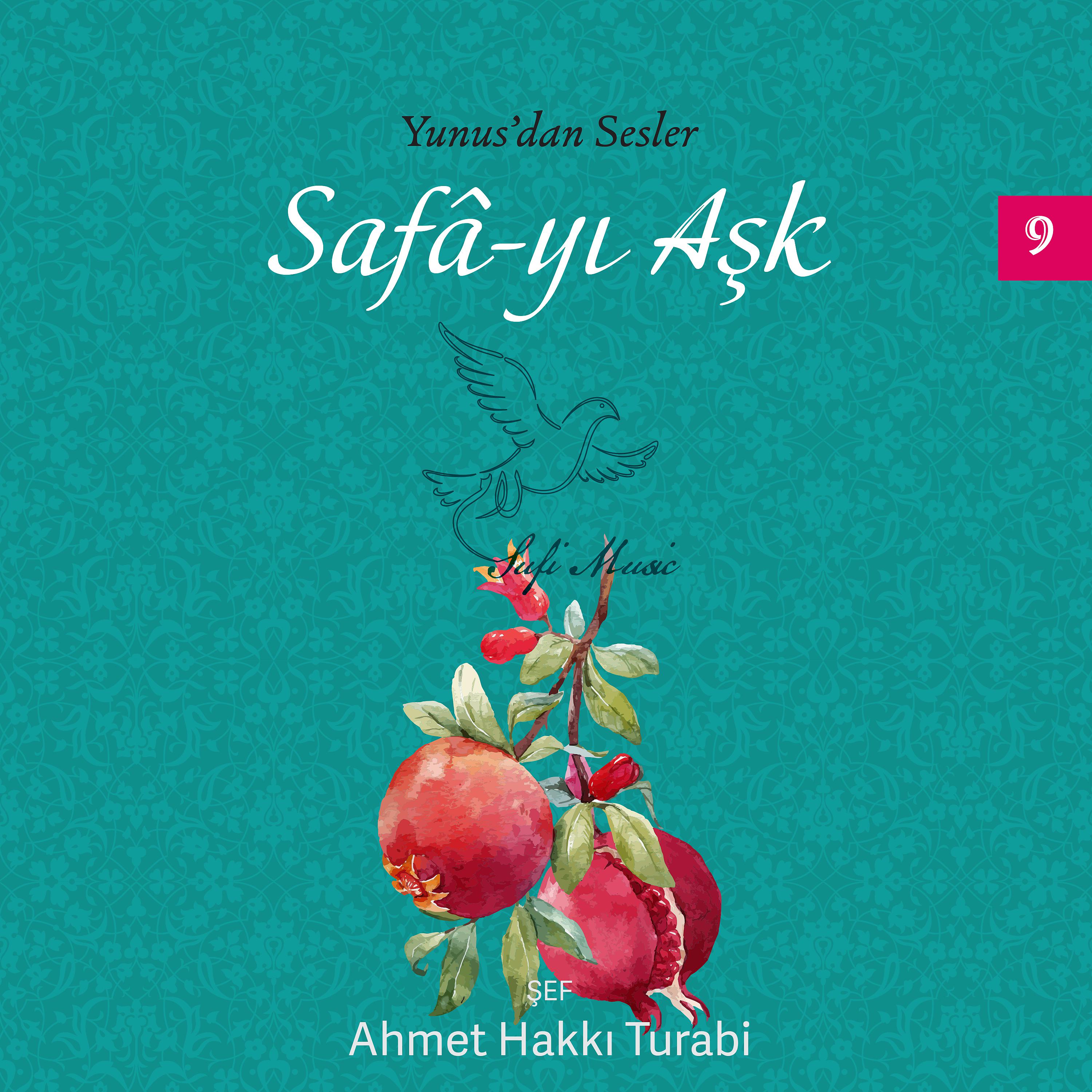 Постер альбома Yunus'dan Sesler, Safa-yı Aşk, Vol.9