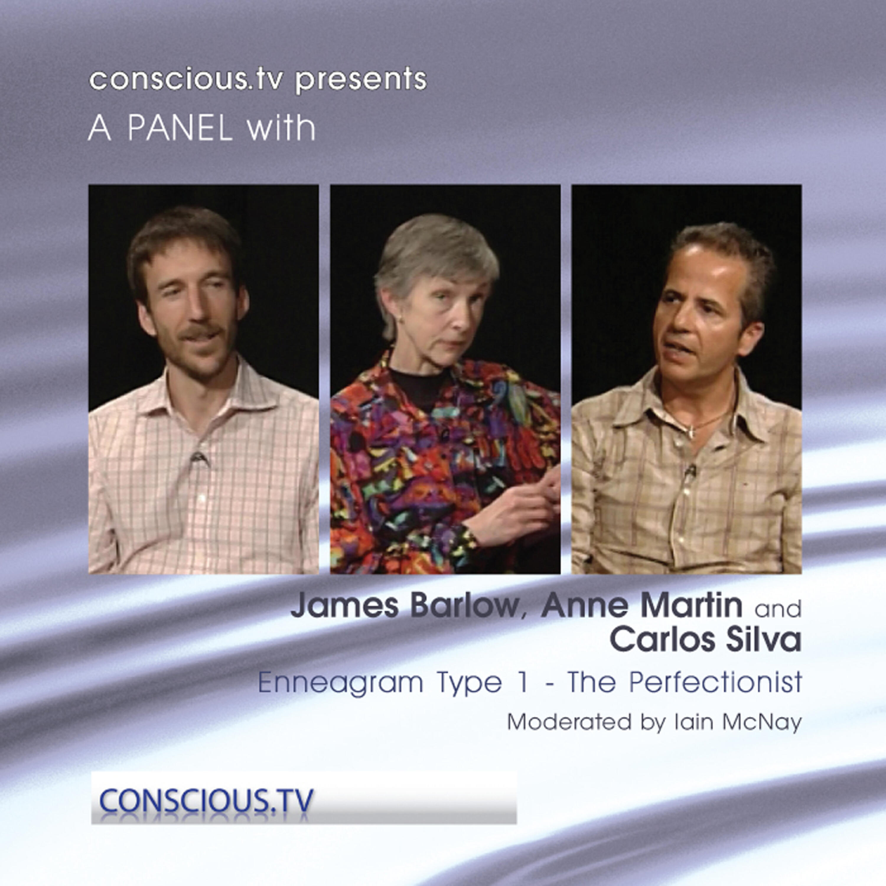 Enneagram Type 1 - The Perfectionist - Discussion with James Barlow, Anne Martin and Carlos Silva