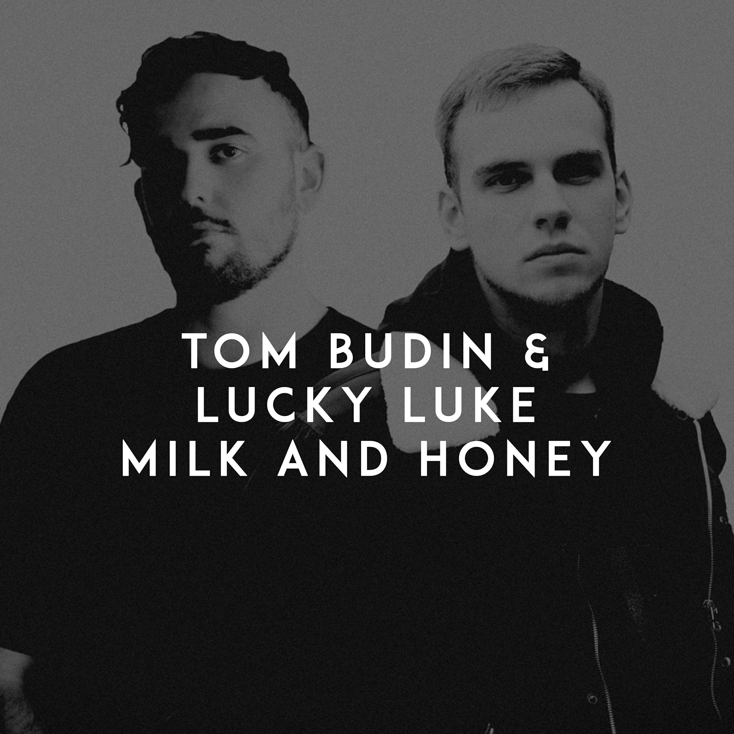 Tom Budin - Milk and Honey
