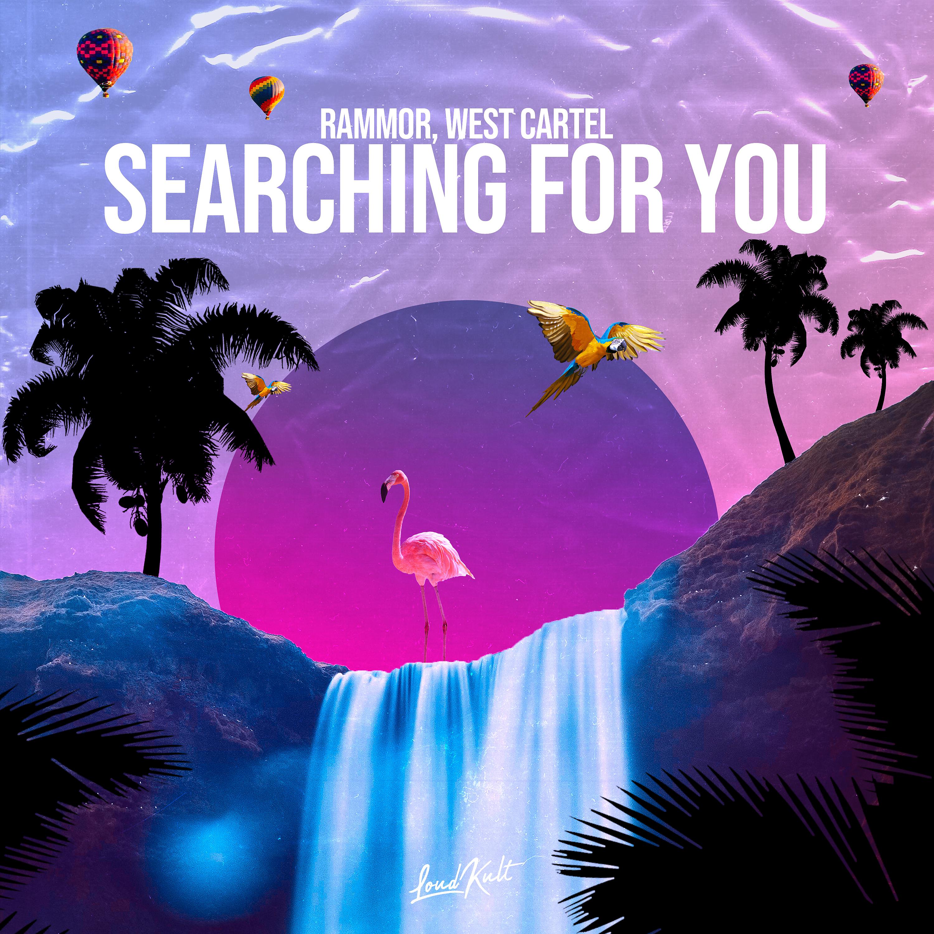 Постер альбома Searching for You