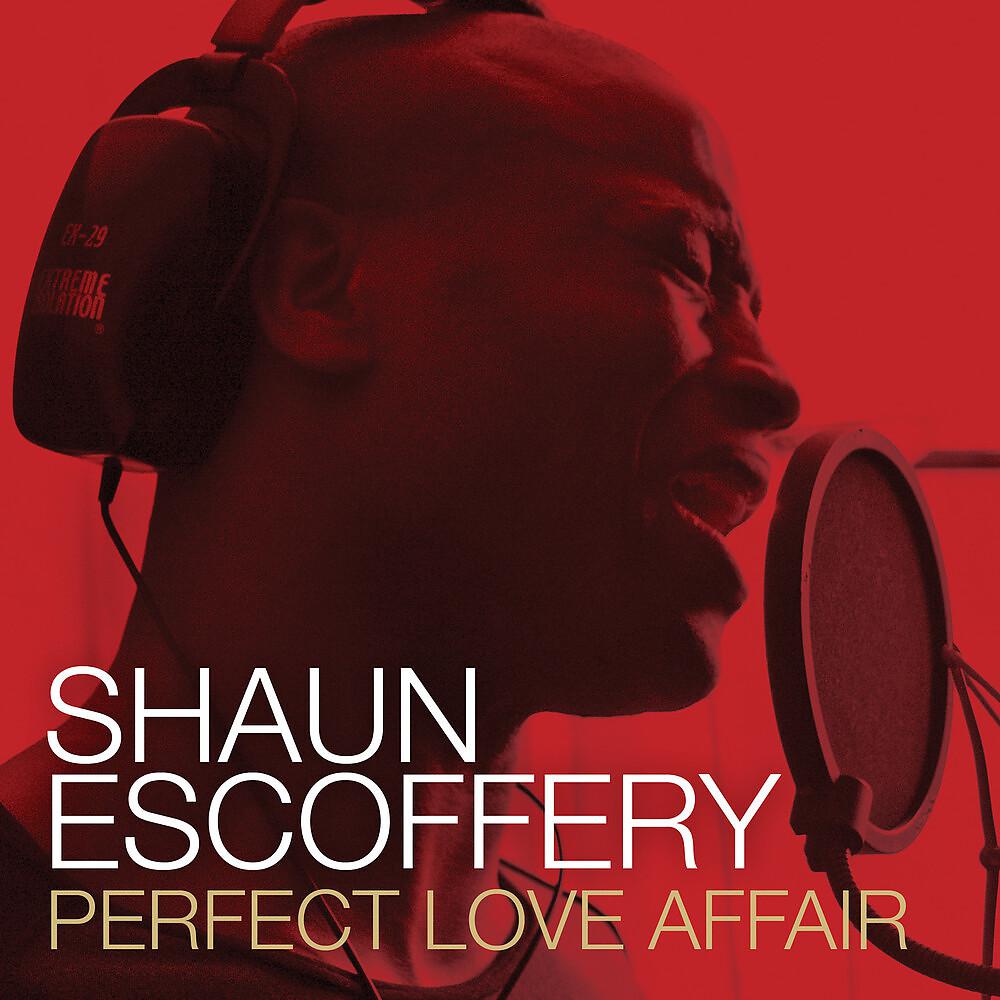 Постер альбома Perfect Love Affair (Radio Version)