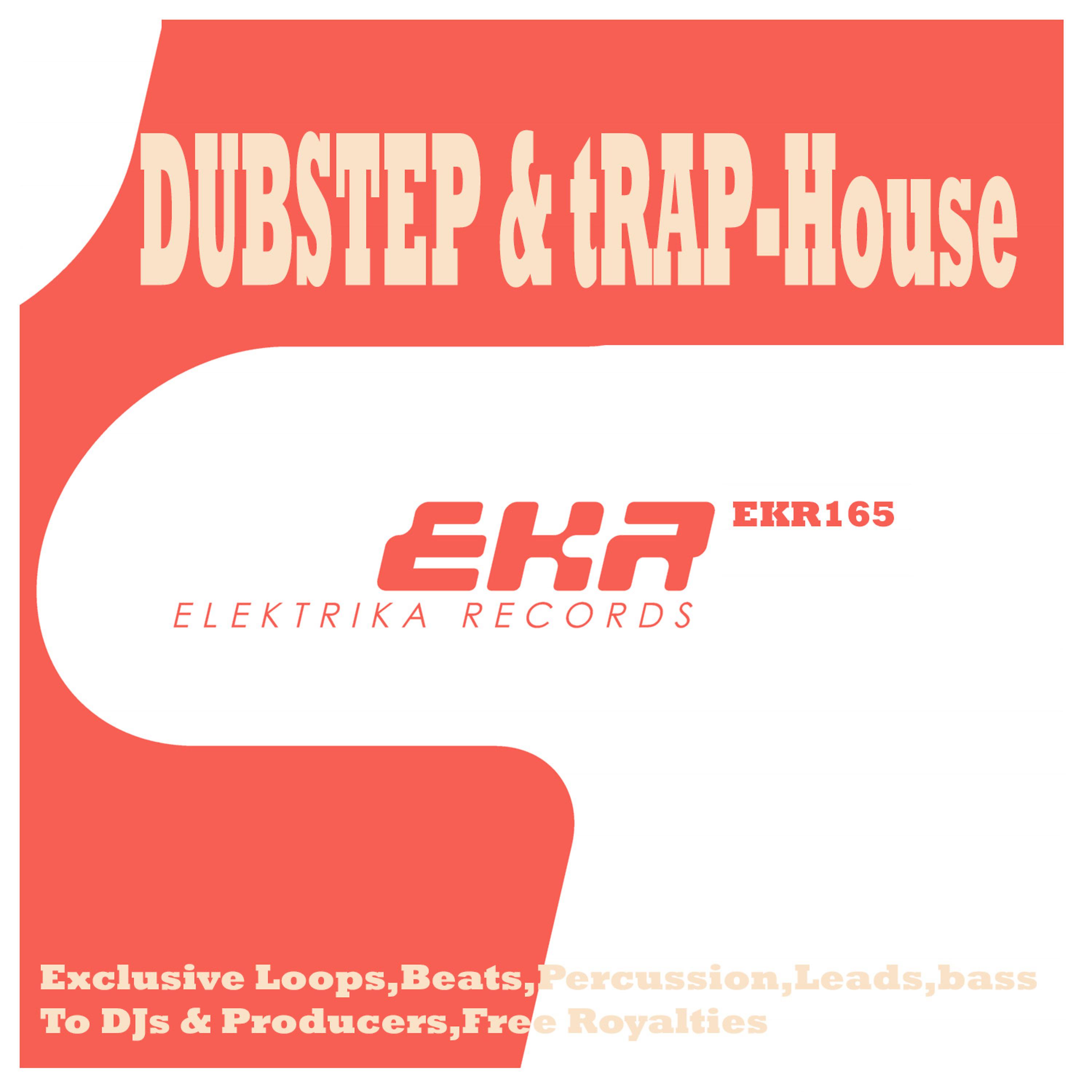 Постер альбома Dubstep & Trap-House DJ Tools