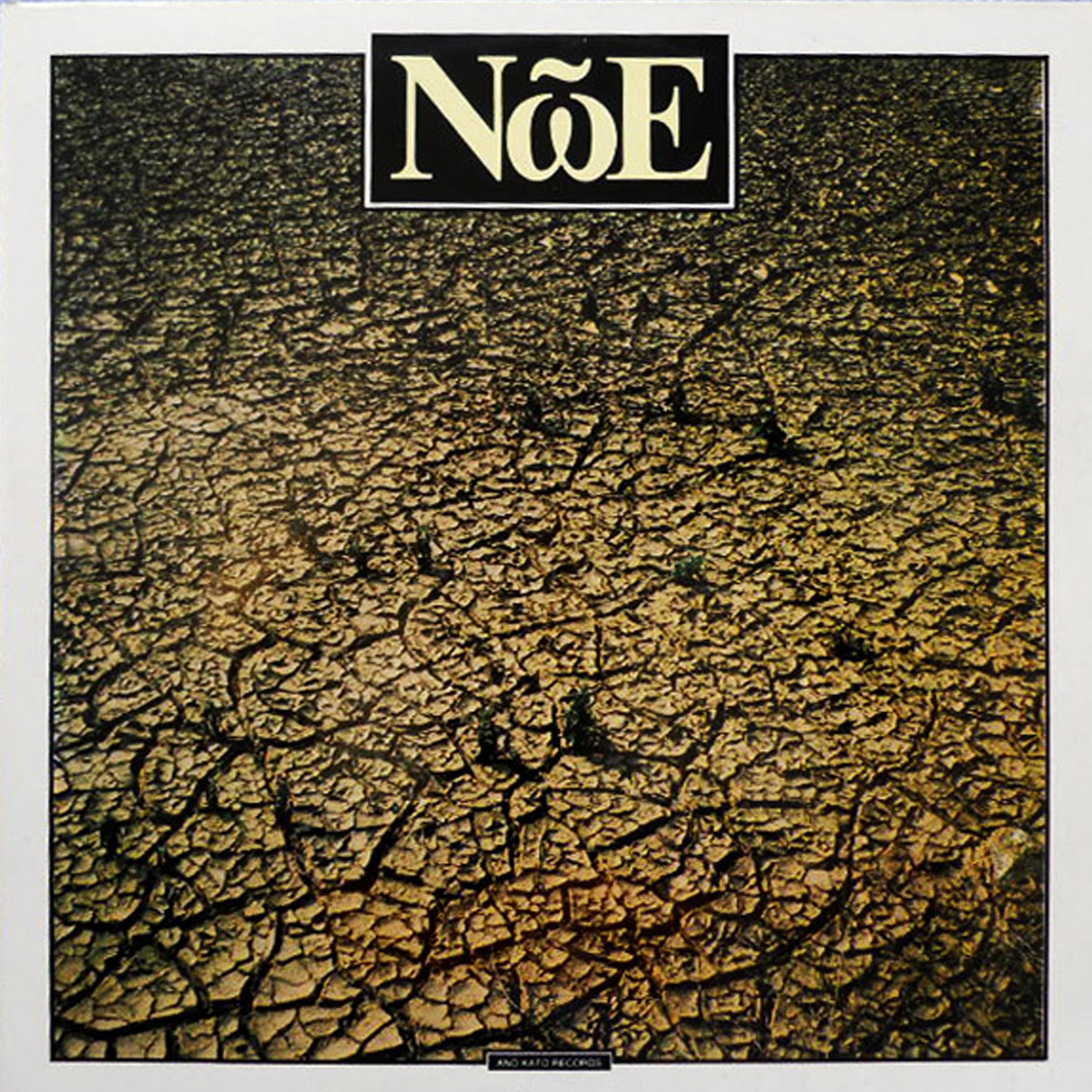 Постер альбома Noe