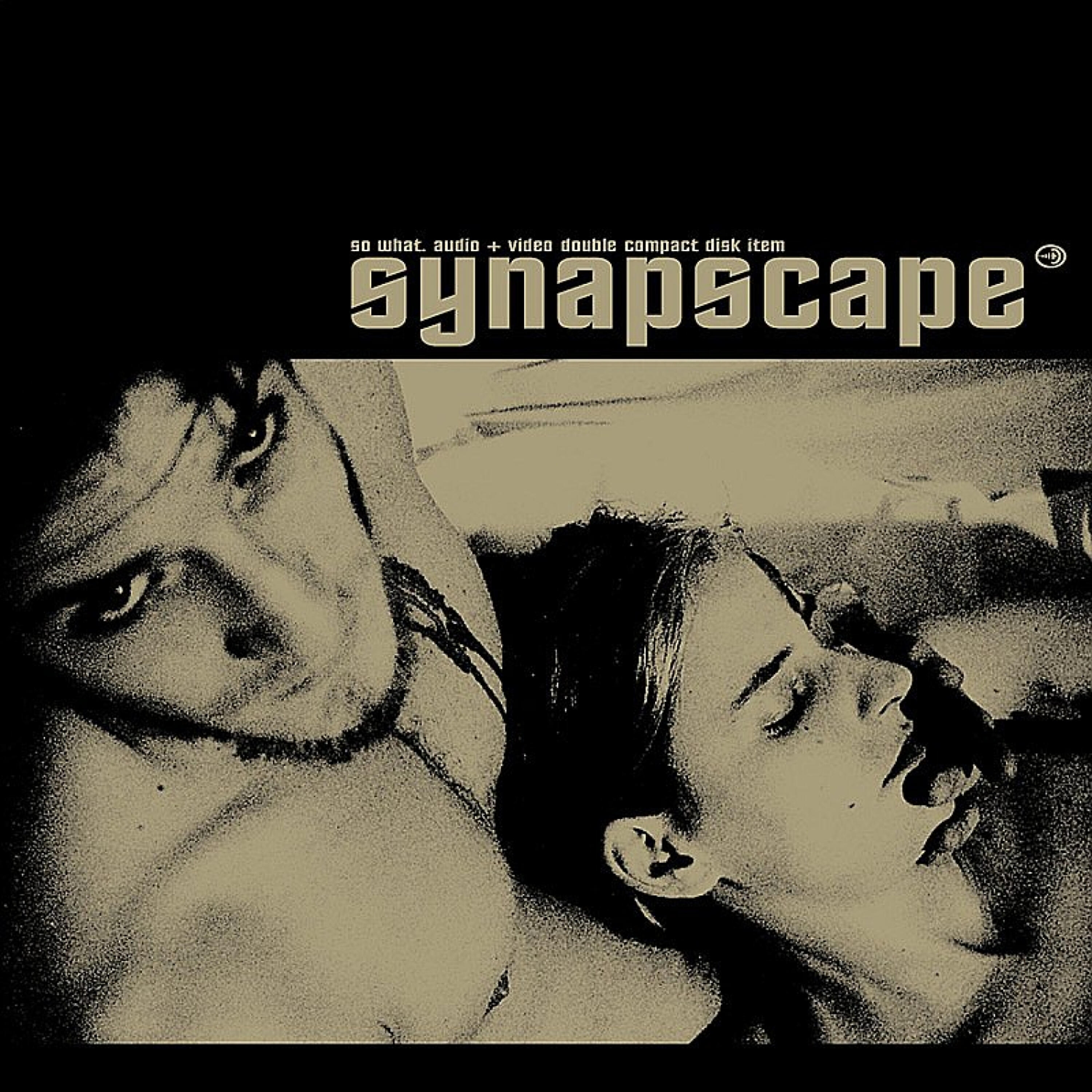 Synapscape - Physics