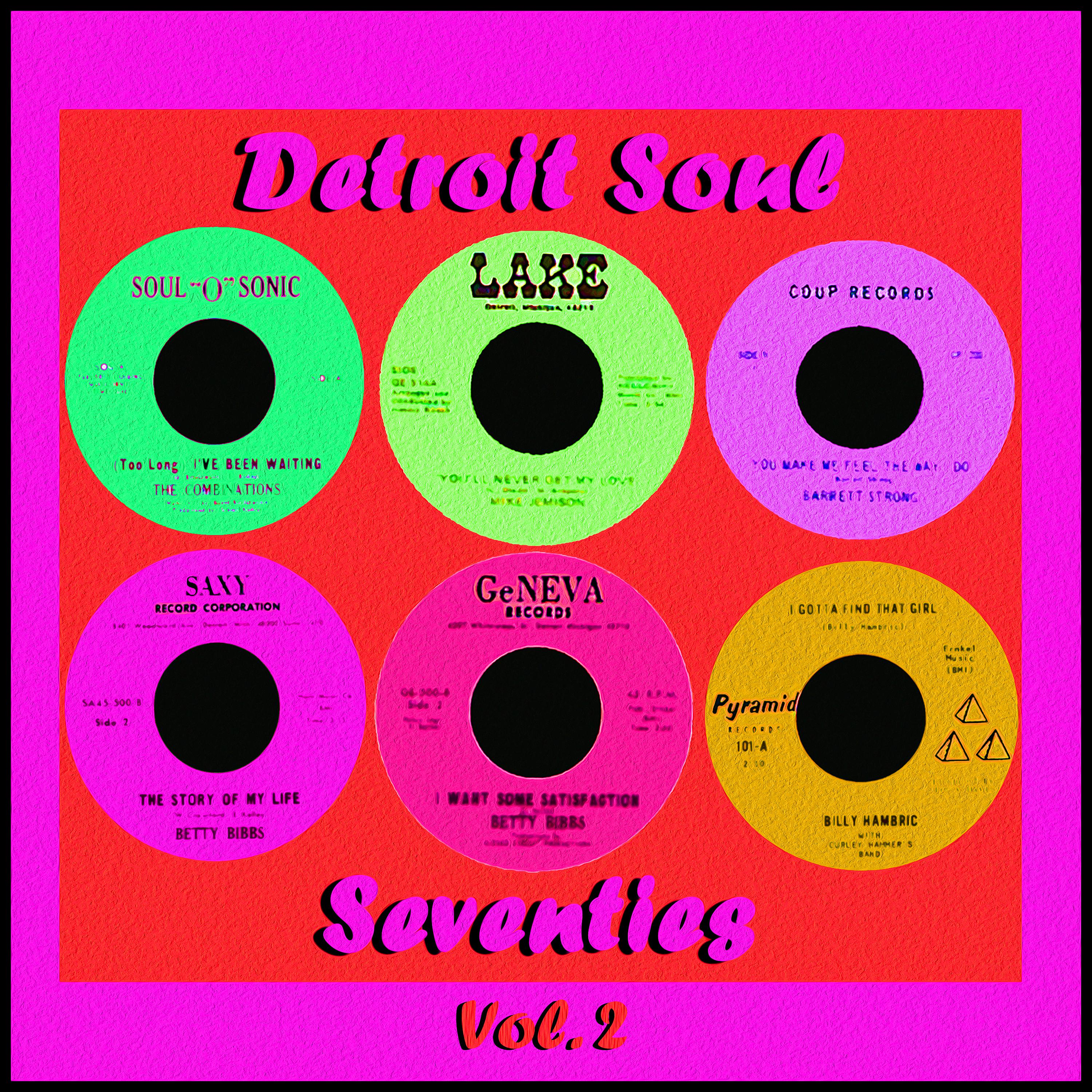 Постер альбома Detroit Soul - Seventies, Vol. 2
