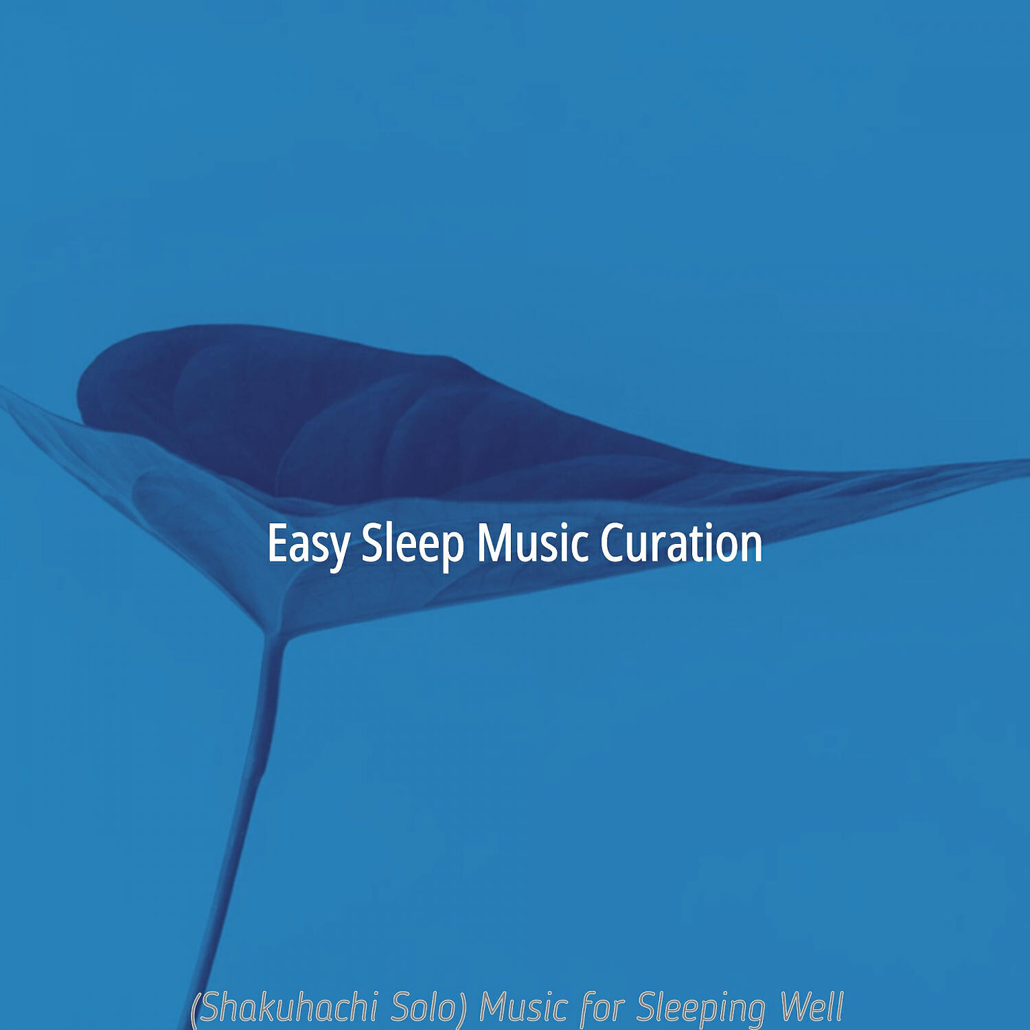 Easy Sleep Music Curation - Charming Moods for Sleeping Well