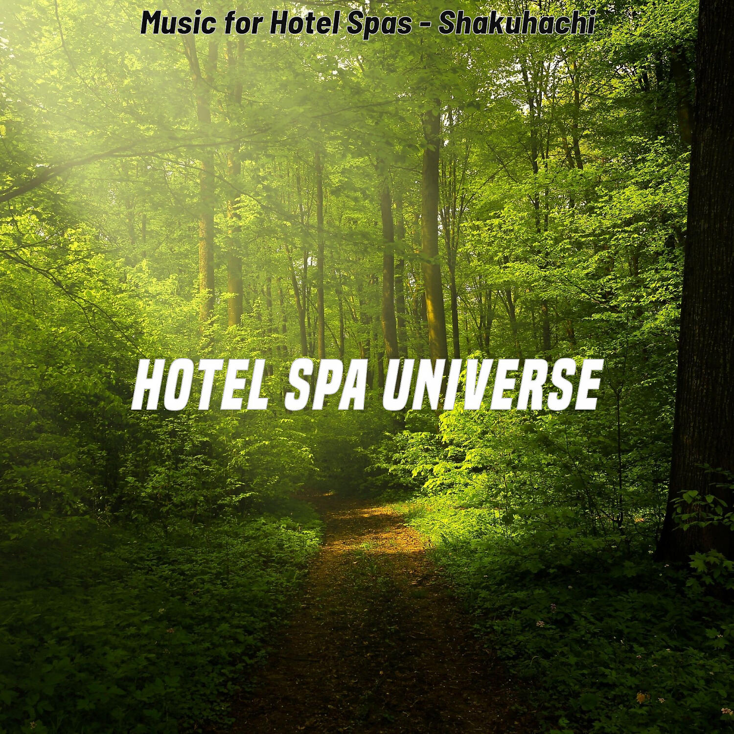 Hotel Spa Universe - Vintage Shakuhachi and Harps - Vibe for Relaxing Vacations