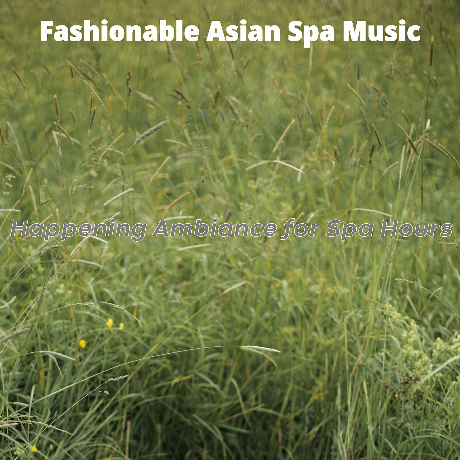 Fashionable Asian Spa Music - Relaxing Backdrops for Spa Hours