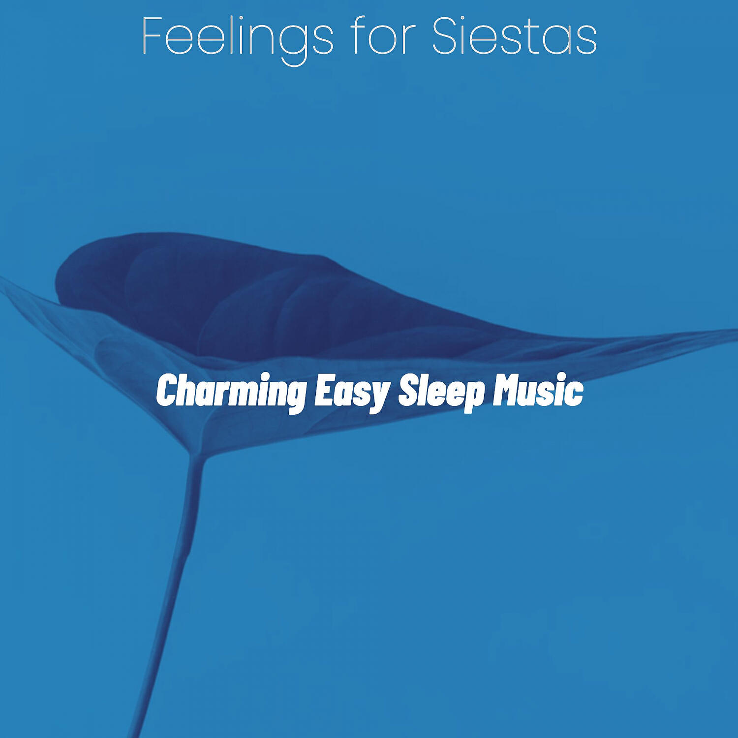 Charming Easy Sleep Music - Vivacious Backdrops for Sleeping Well