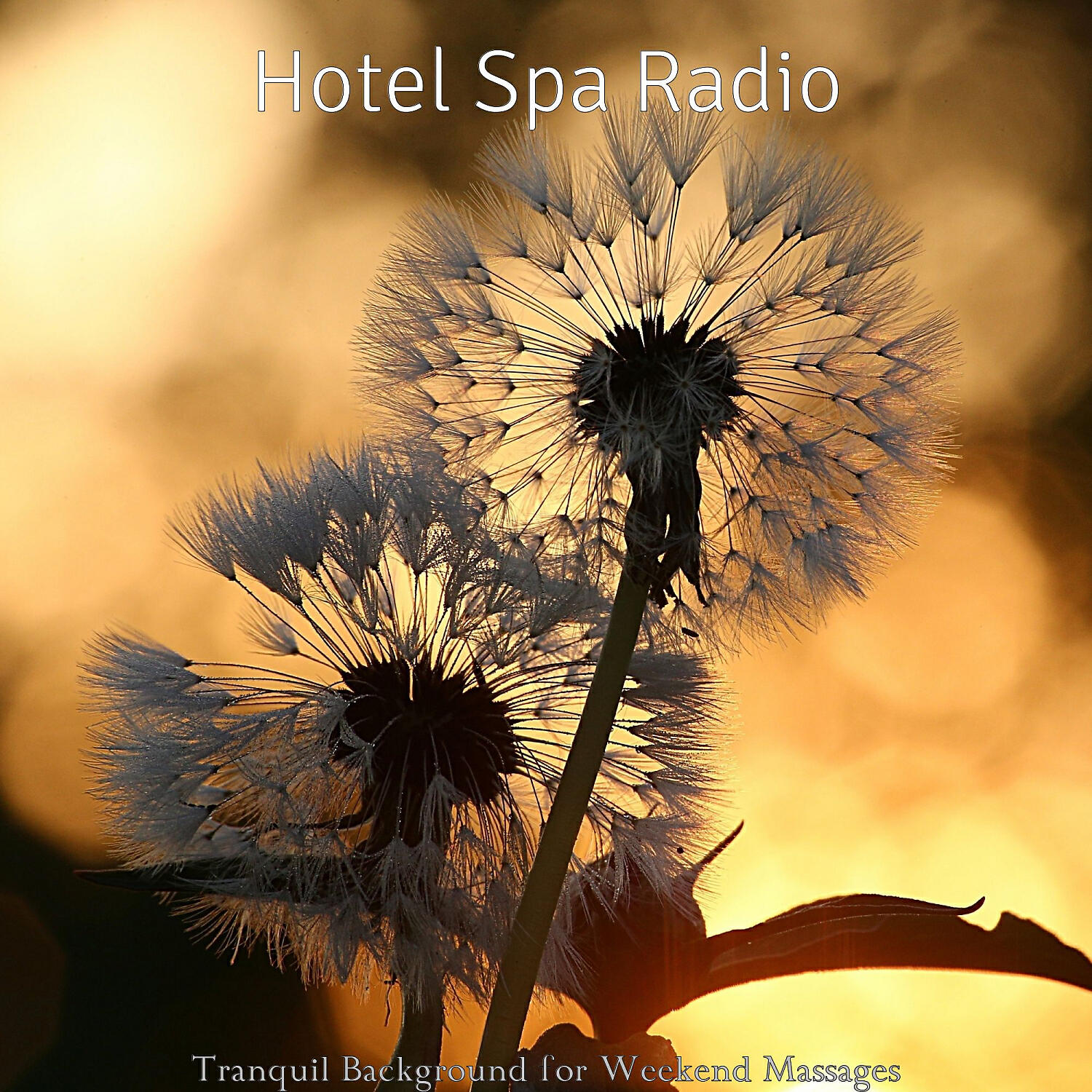 Hotel Spa Radio - Exquisite Moods for Weekend Spa Treatments