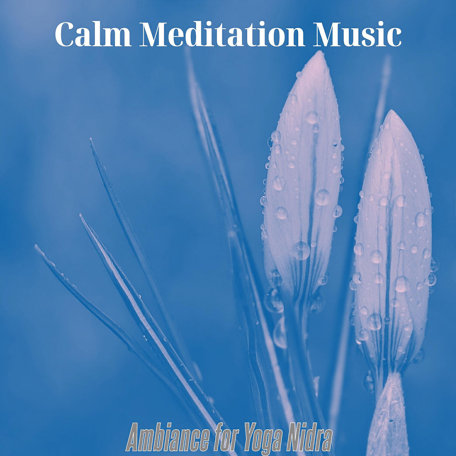 Calm Meditation Music - Heavenly Ambience for Yoga Nidra