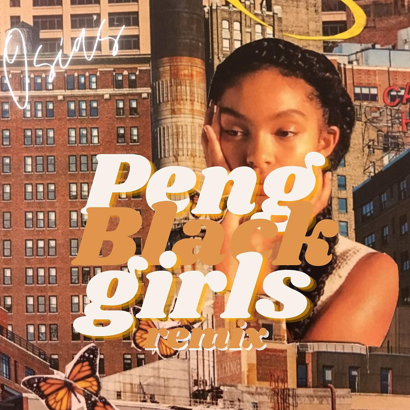 Постер альбома Peng Black Girl (Remix)