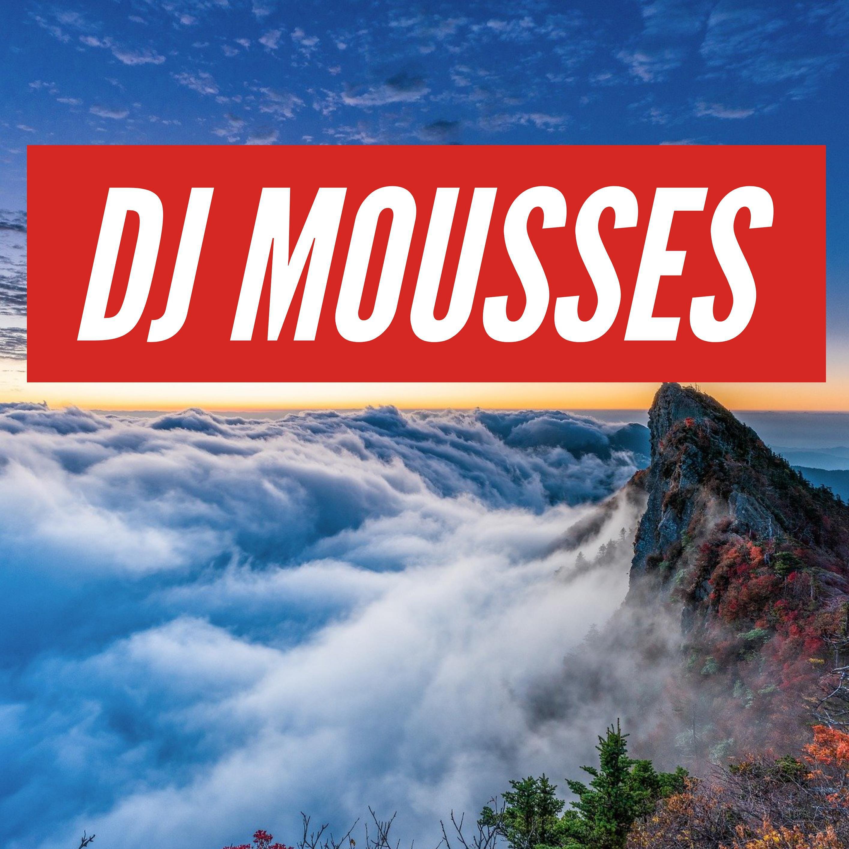 DJ MOUSSES - Scheme