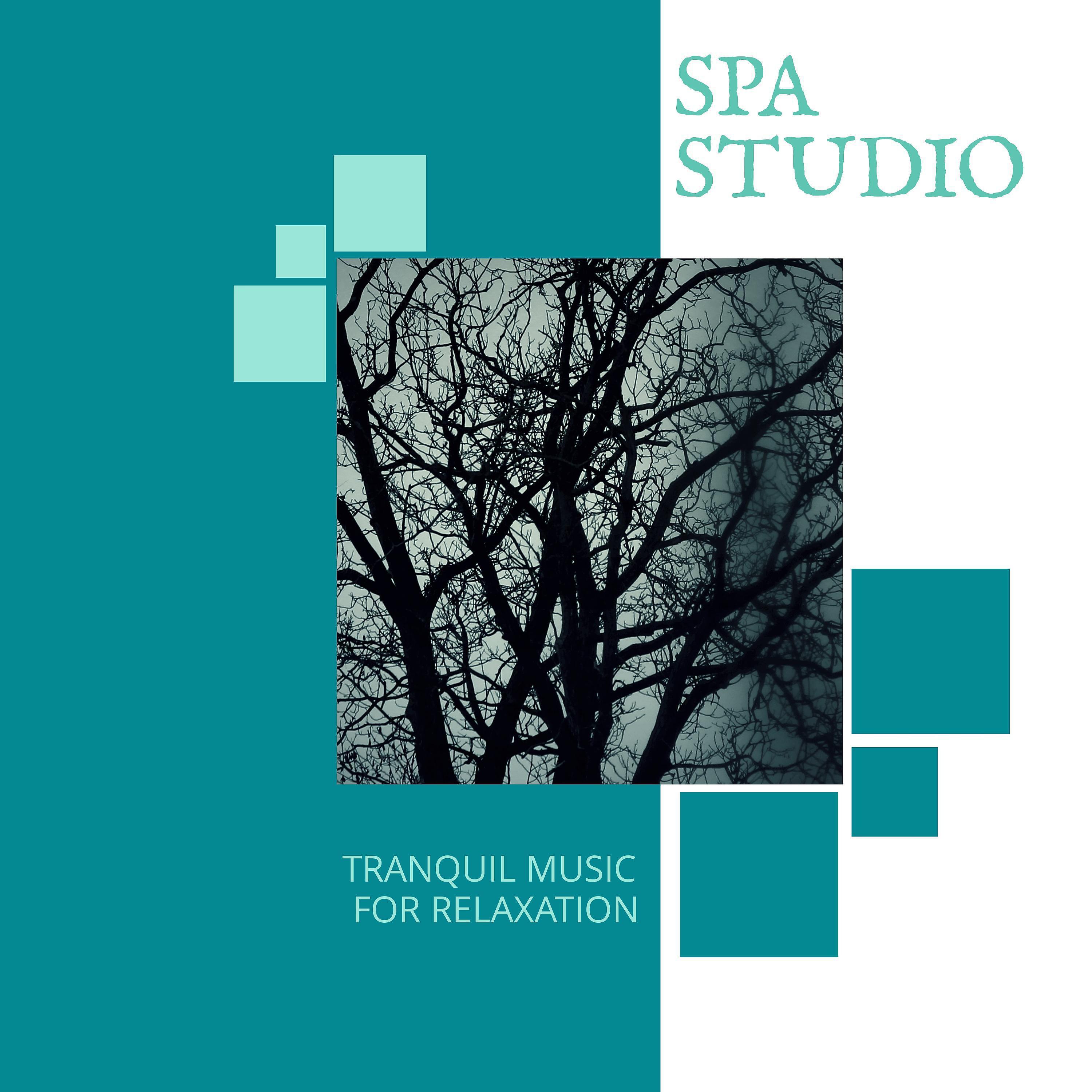 Постер альбома Spa Studio - Tranquil Music For Relaxation