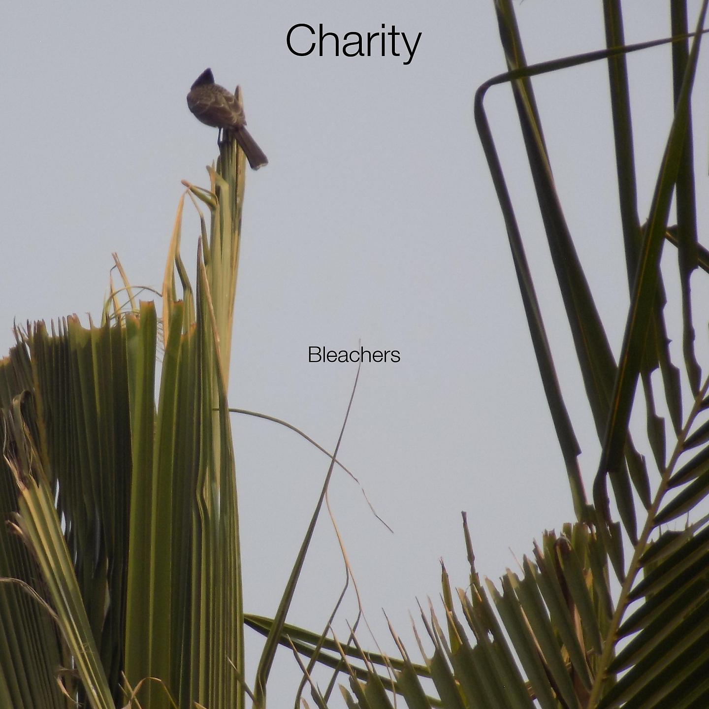 Постер альбома Charity