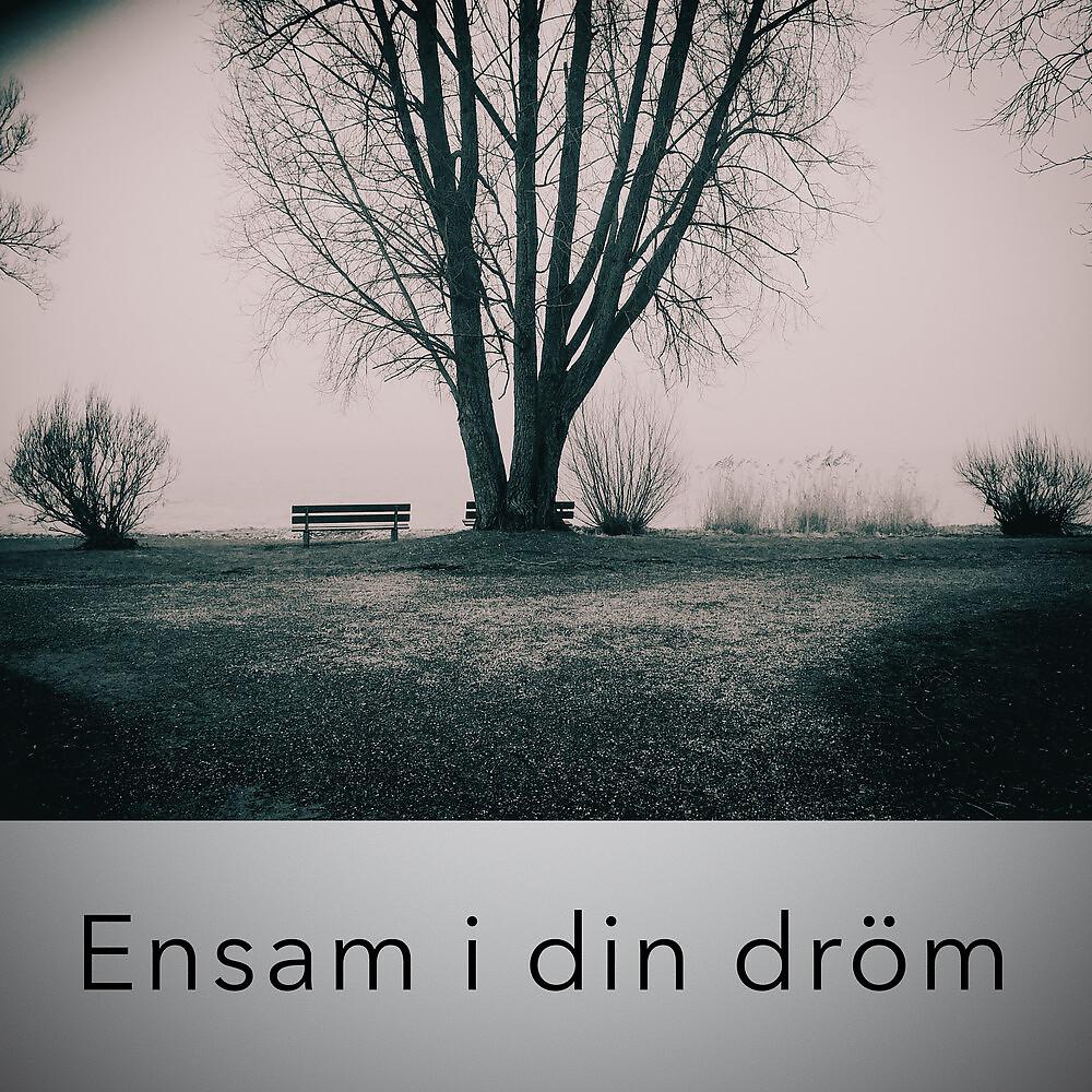 Постер альбома Ensam i din dröm