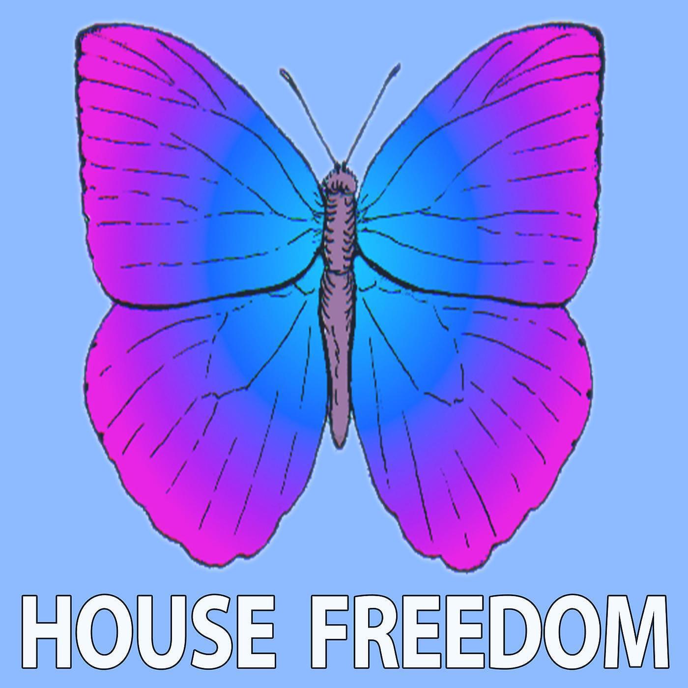 Rousing House - I Fly (21 ROOM Remix)