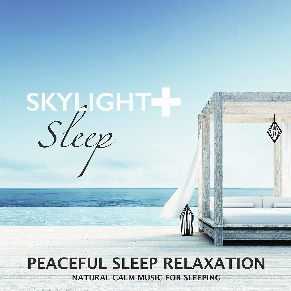 Постер альбома Peaceful Sleep Relaxation (Natural Calm Music for Sleeping)