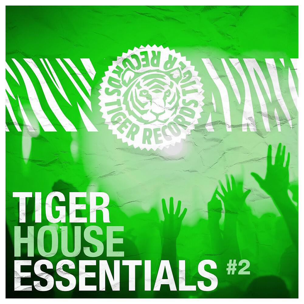 Mirbeys - Lilly Sax (DJ Falk Fh Remix)