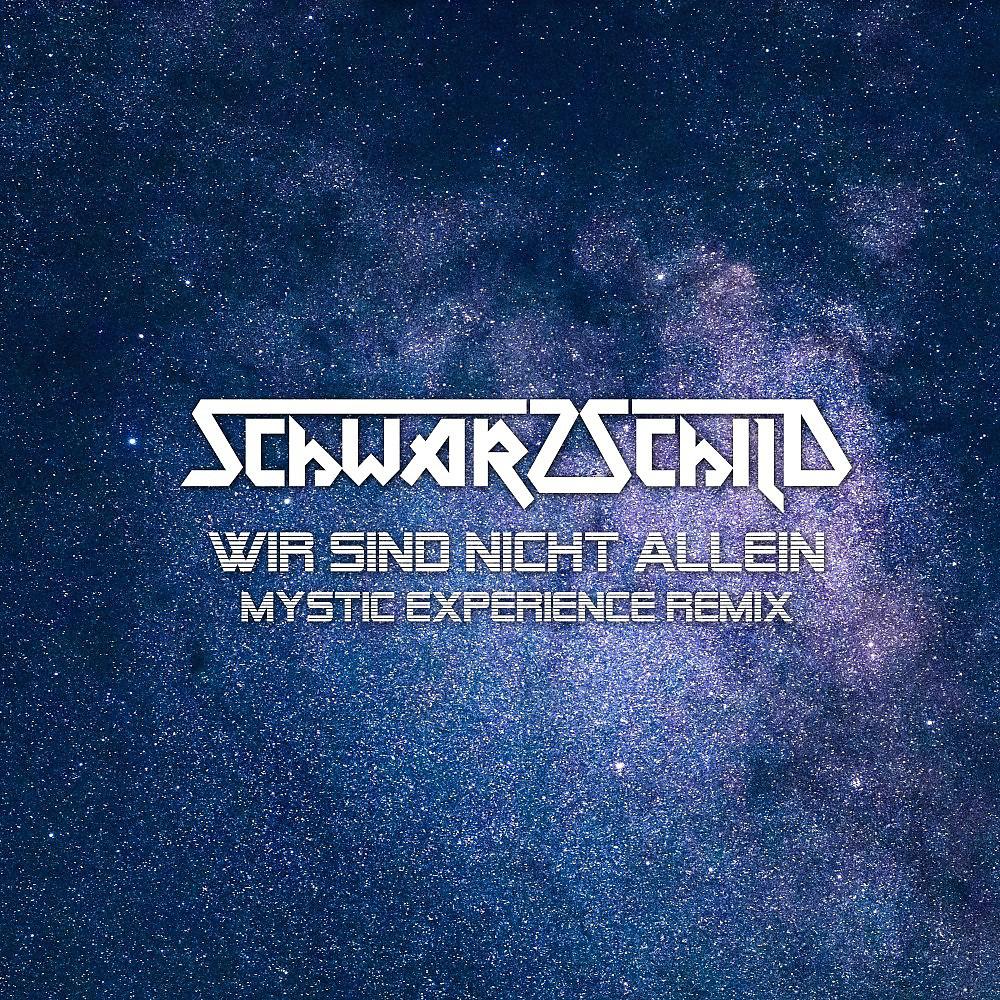 Постер альбома Wir sind nicht allein (Mystic Experience Remix)