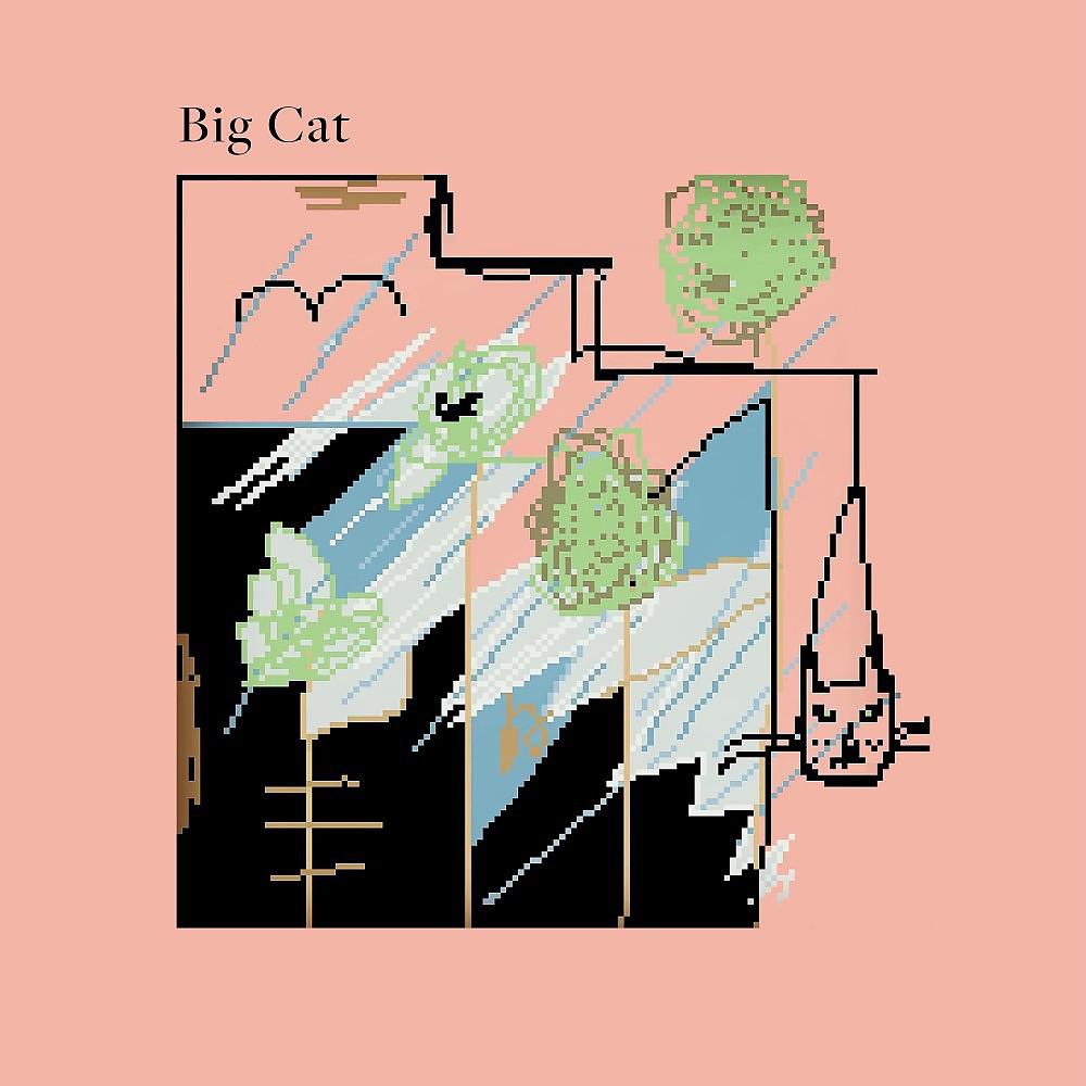 Постер альбома Big Cat