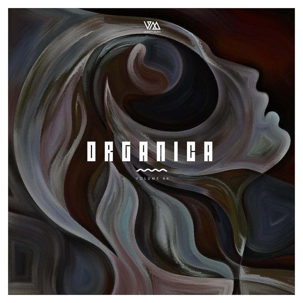 Danilo Schneider - In Motion (Original Mix)