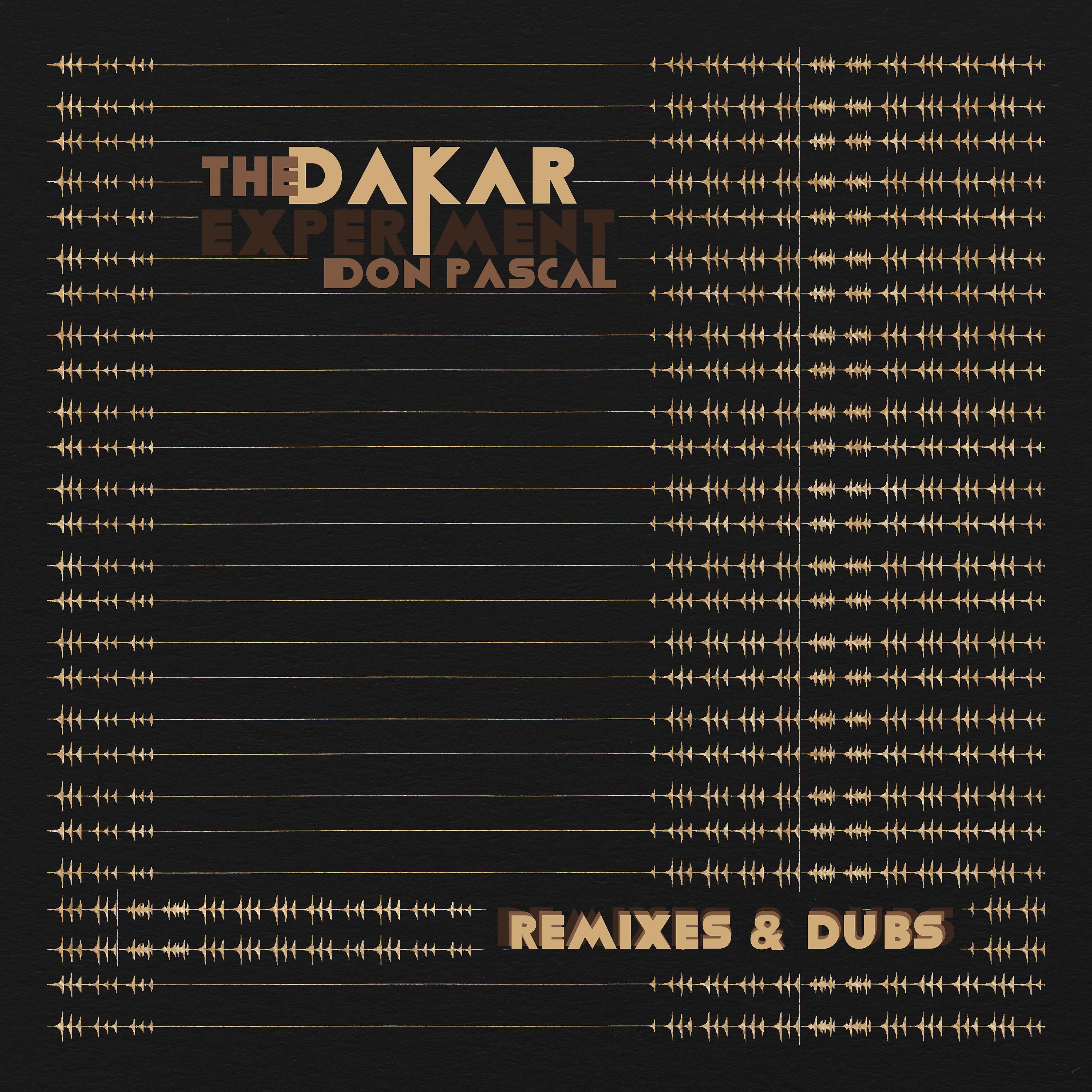 Постер альбома The Dakar Remixes & Dubs