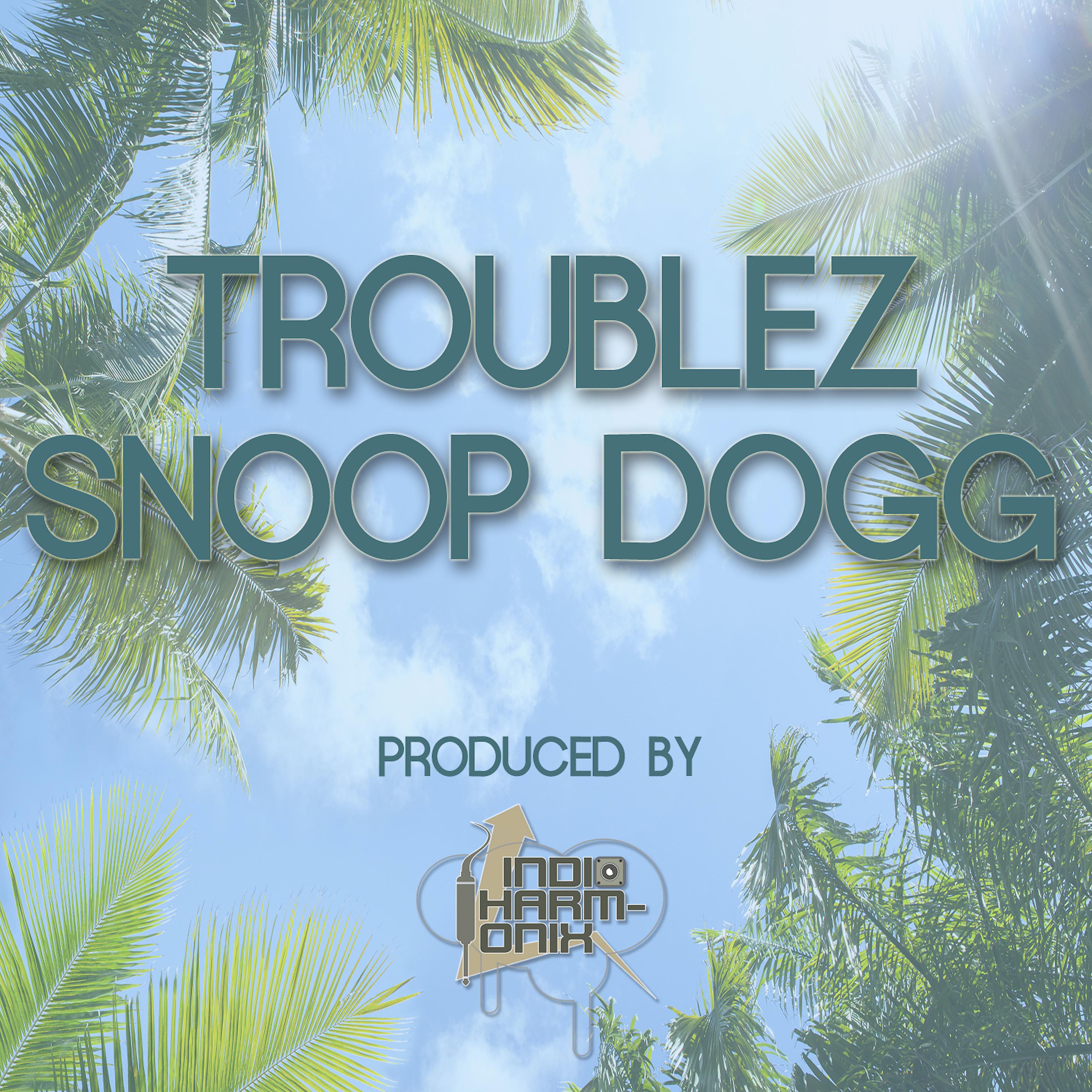 Постер альбома Troublez & Snoop