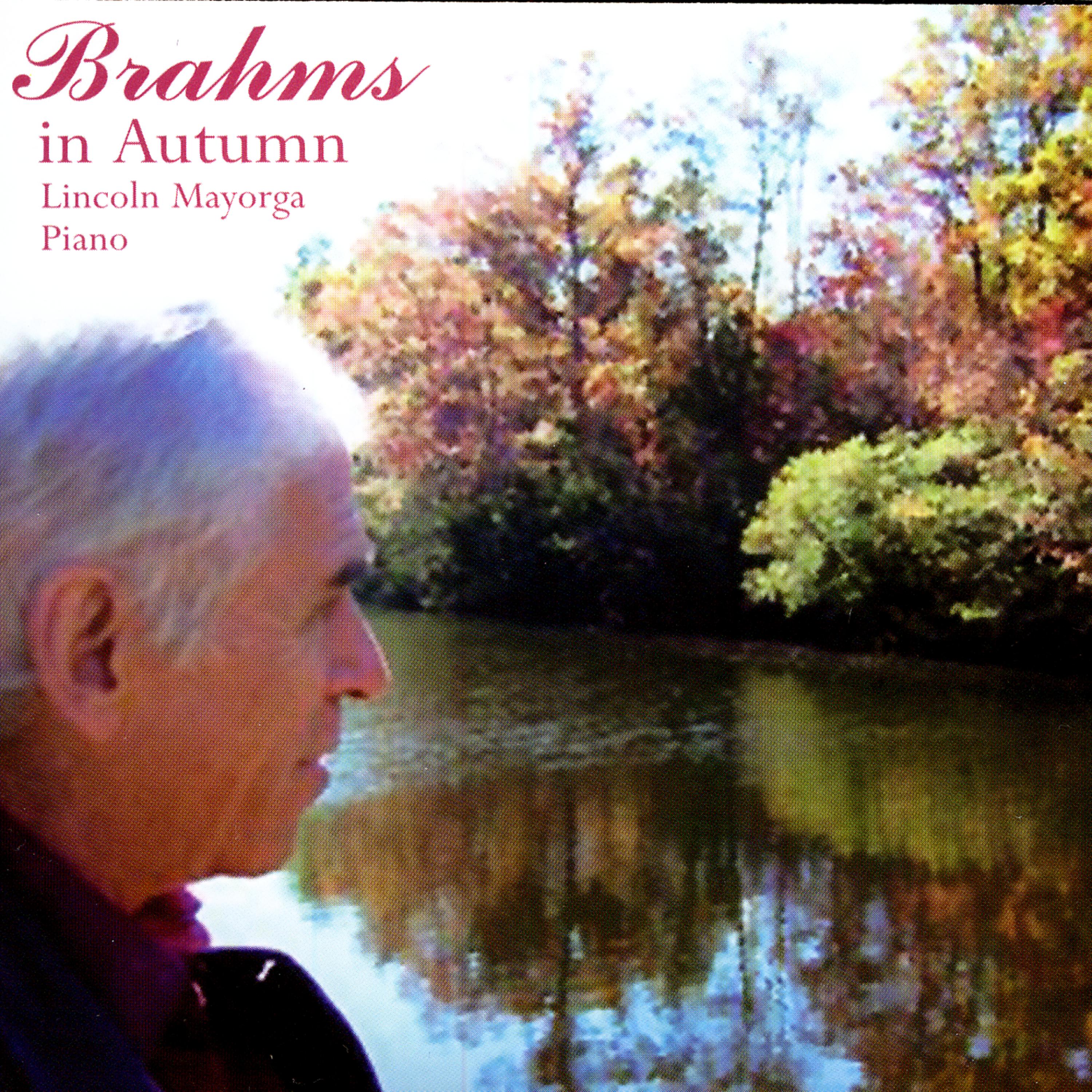 Постер альбома Brahms In Autumn