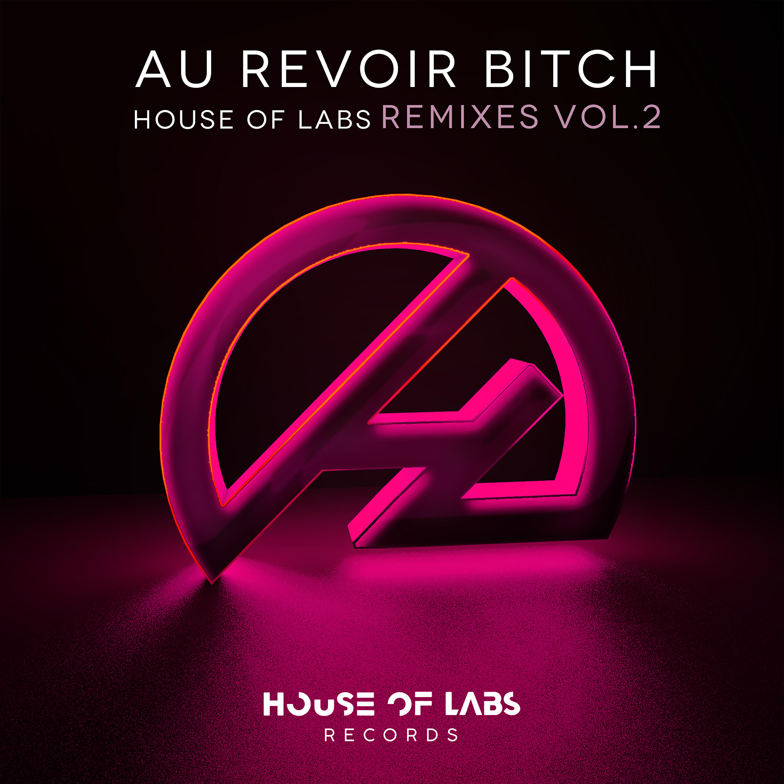 House Of Labs - Au Revoir Bitch (Oscar Velazquez Groove Mix)