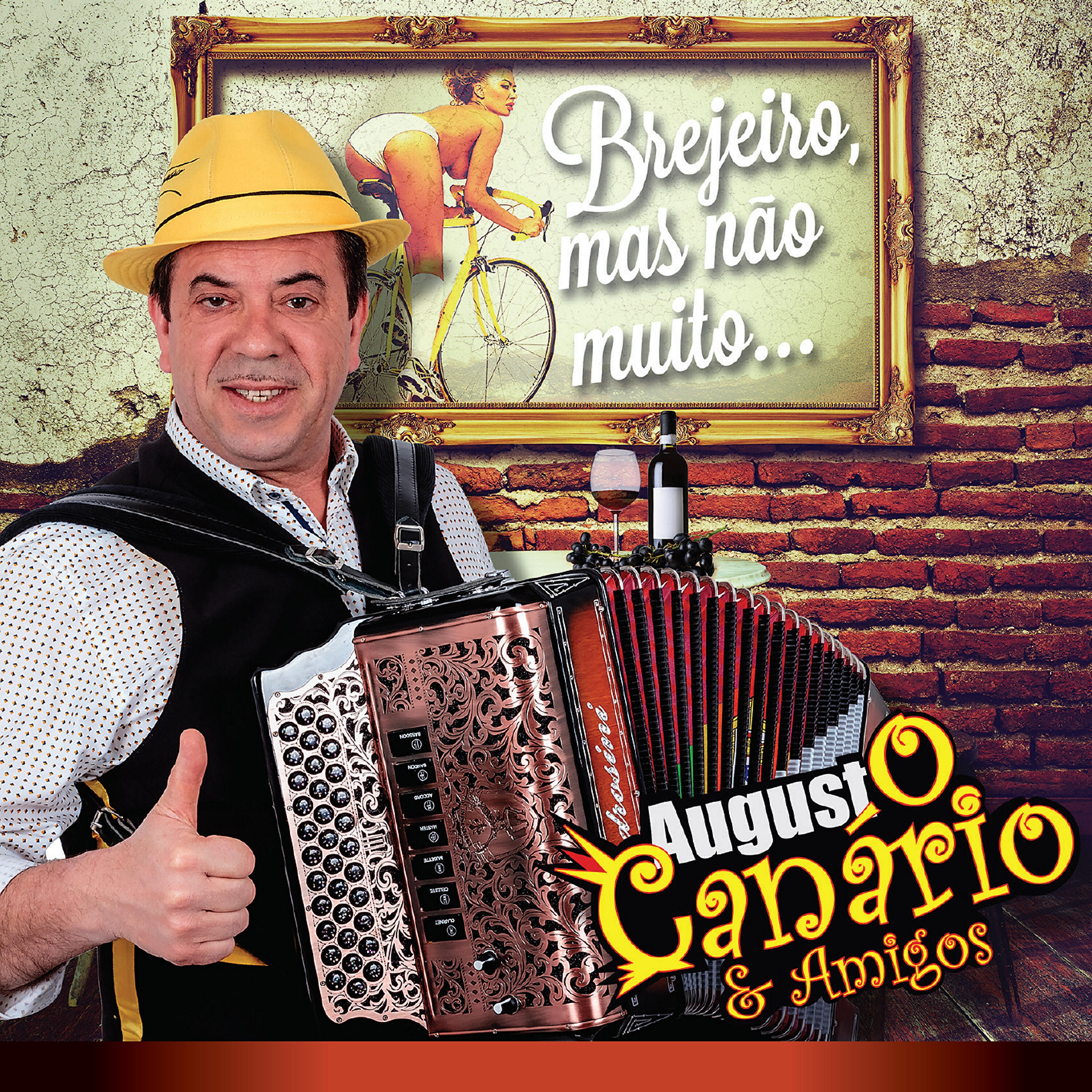 Augusto Canário - Viana Eu Gosto de Ti