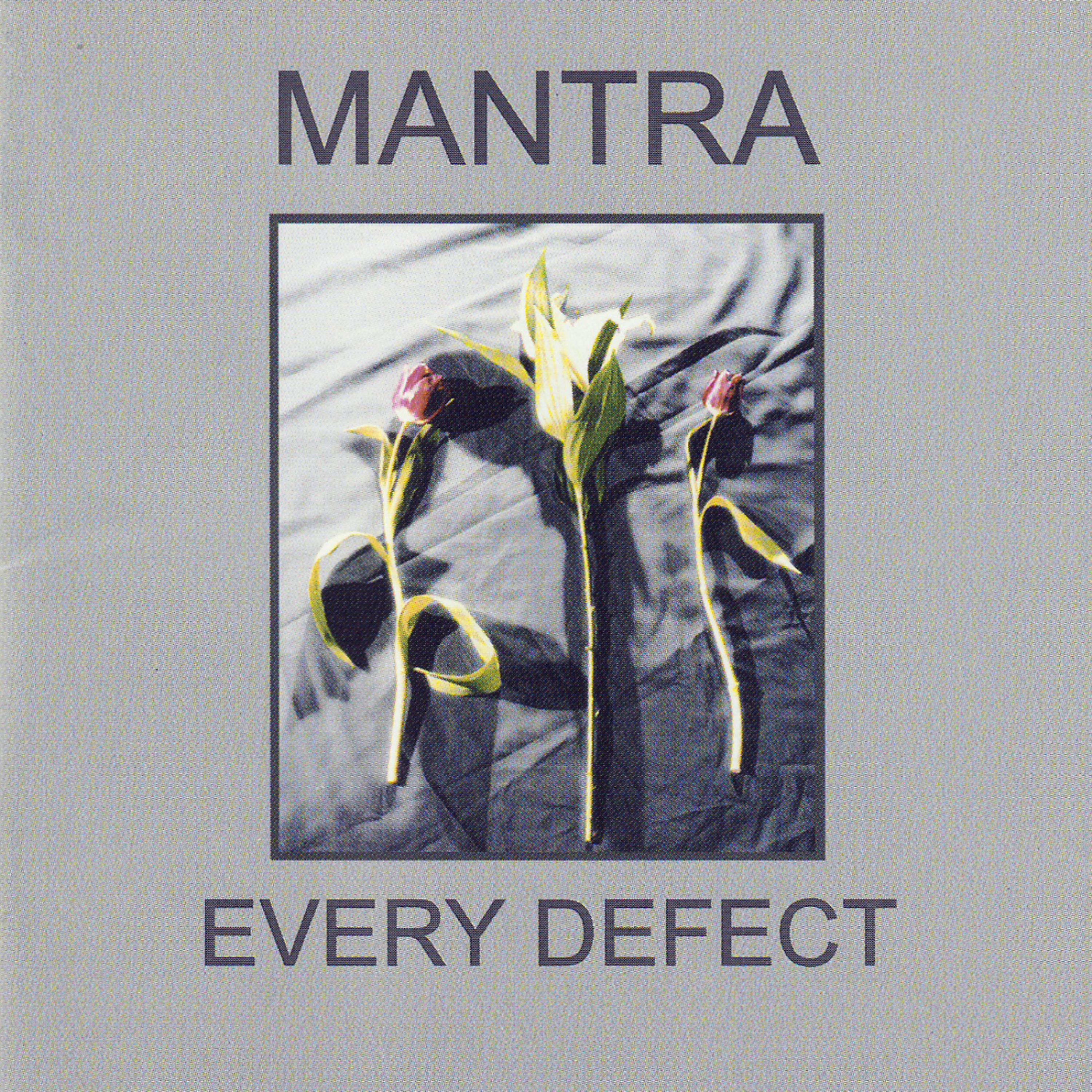 Постер альбома Every Defect