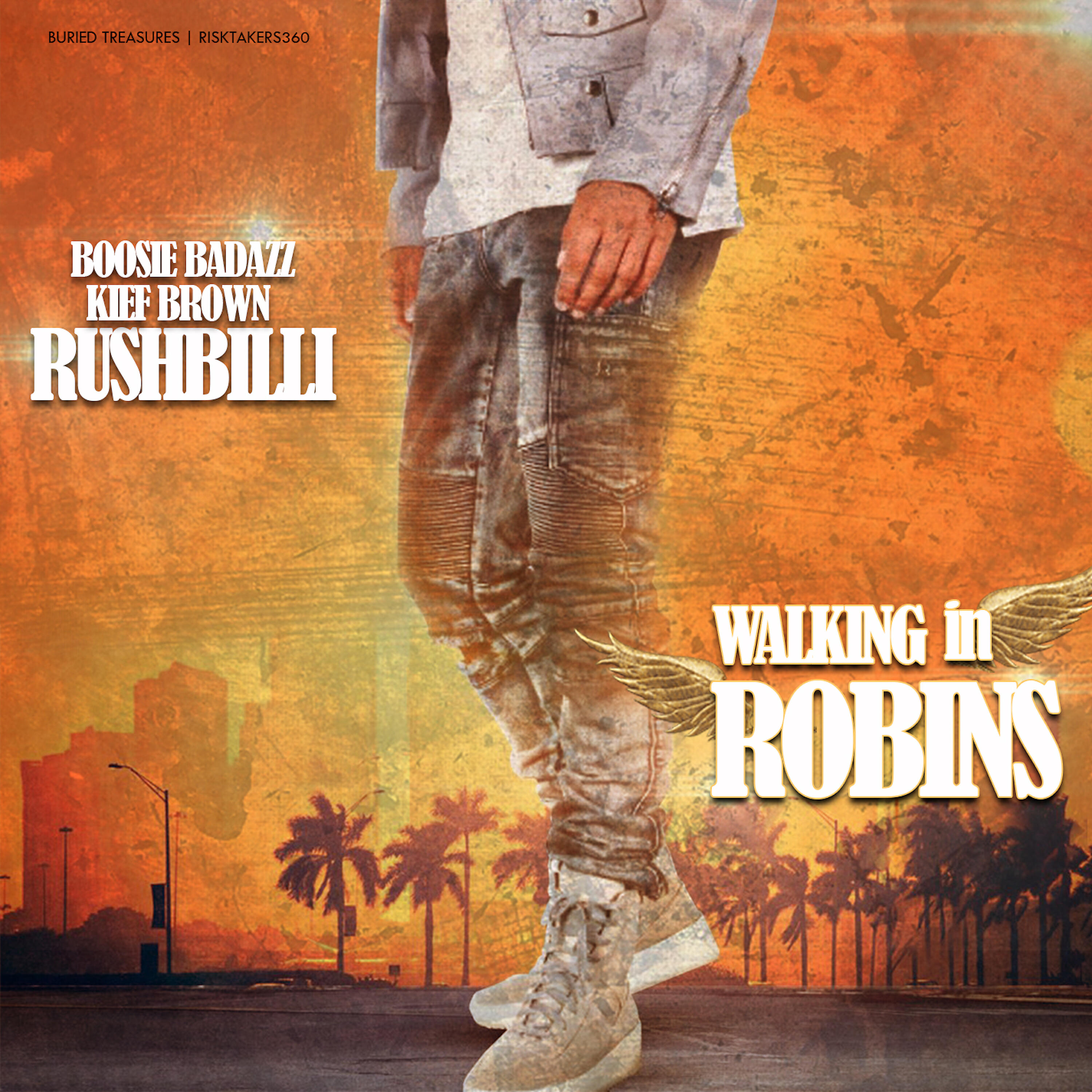 RushBilli - Walking in Robins (Radio Edit)
