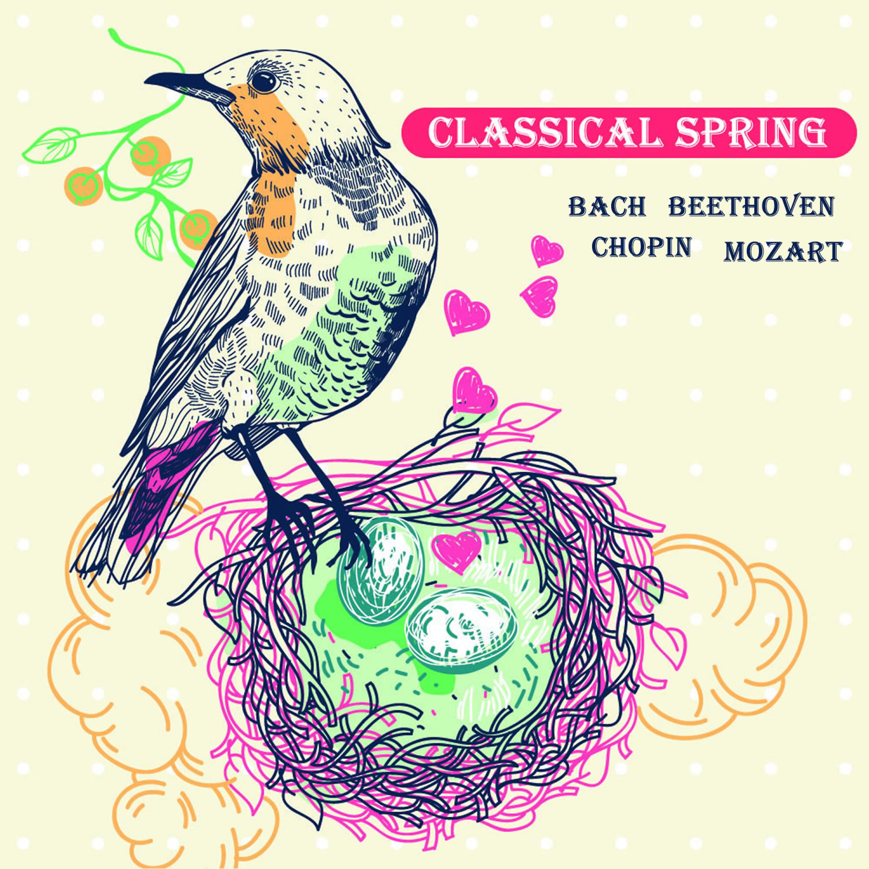 Постер альбома Classical Spring: Bach, Beethoven, Chopin, Mozart