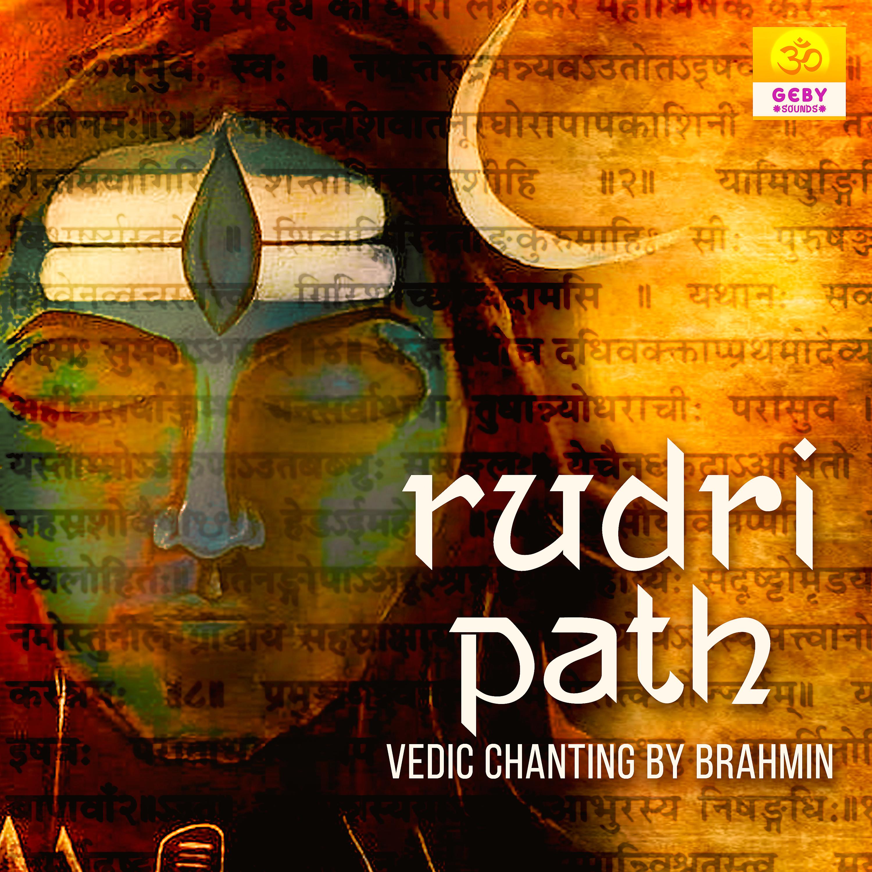 Постер альбома Rudri Path Vedic Chanting By Bhrahmin