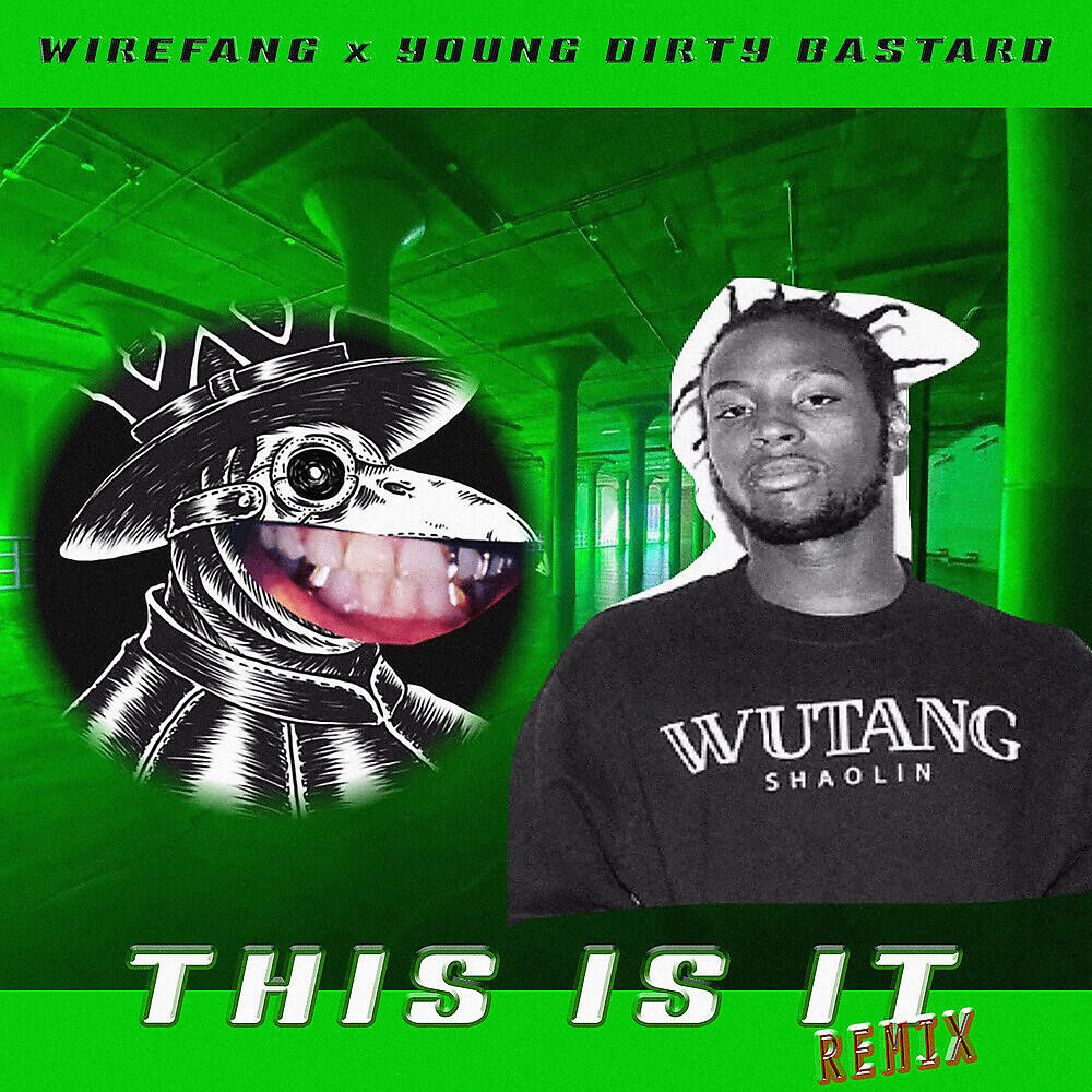 WireFang - This is it (Remix)