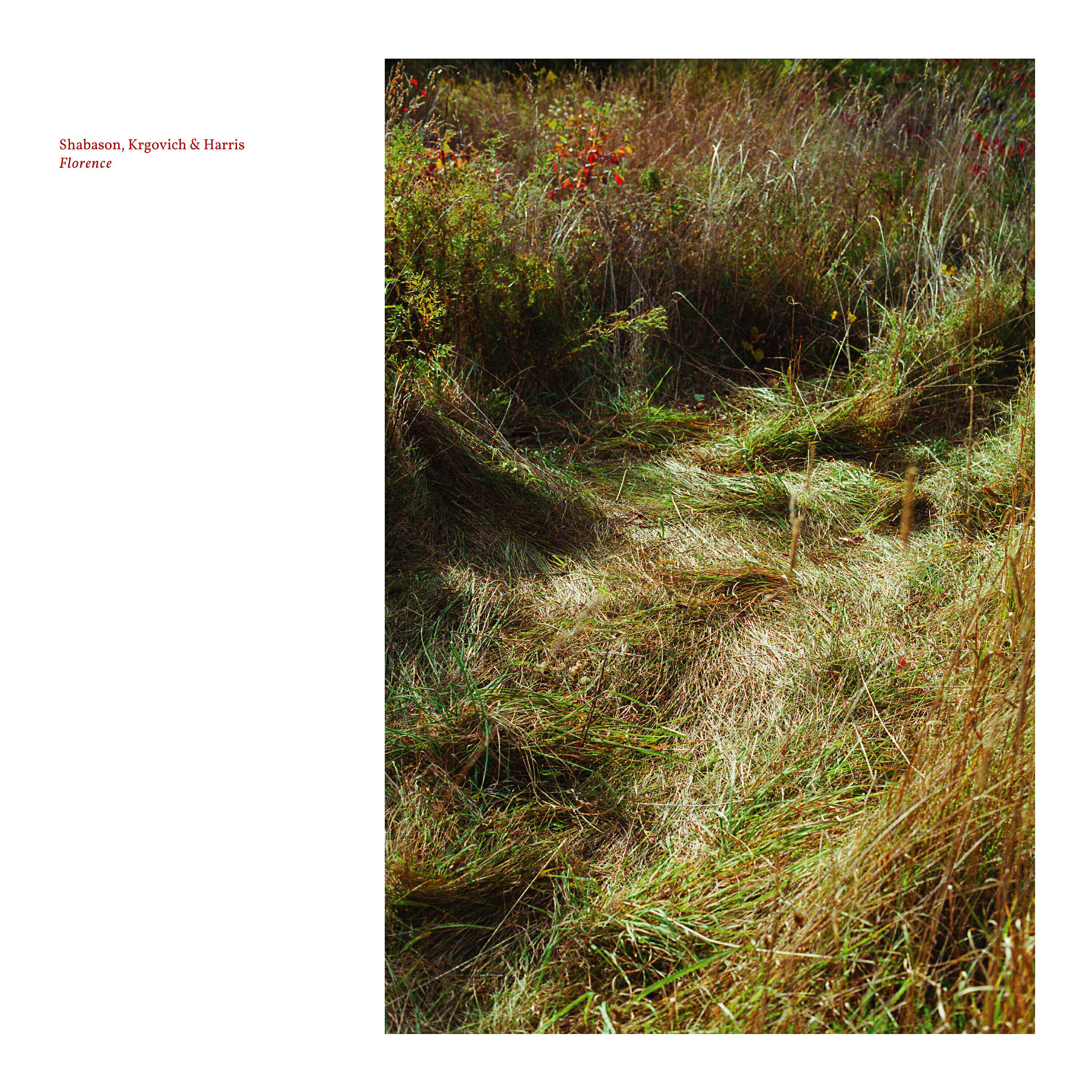 Shabason, Krgovich & Harris - First thing in the morning