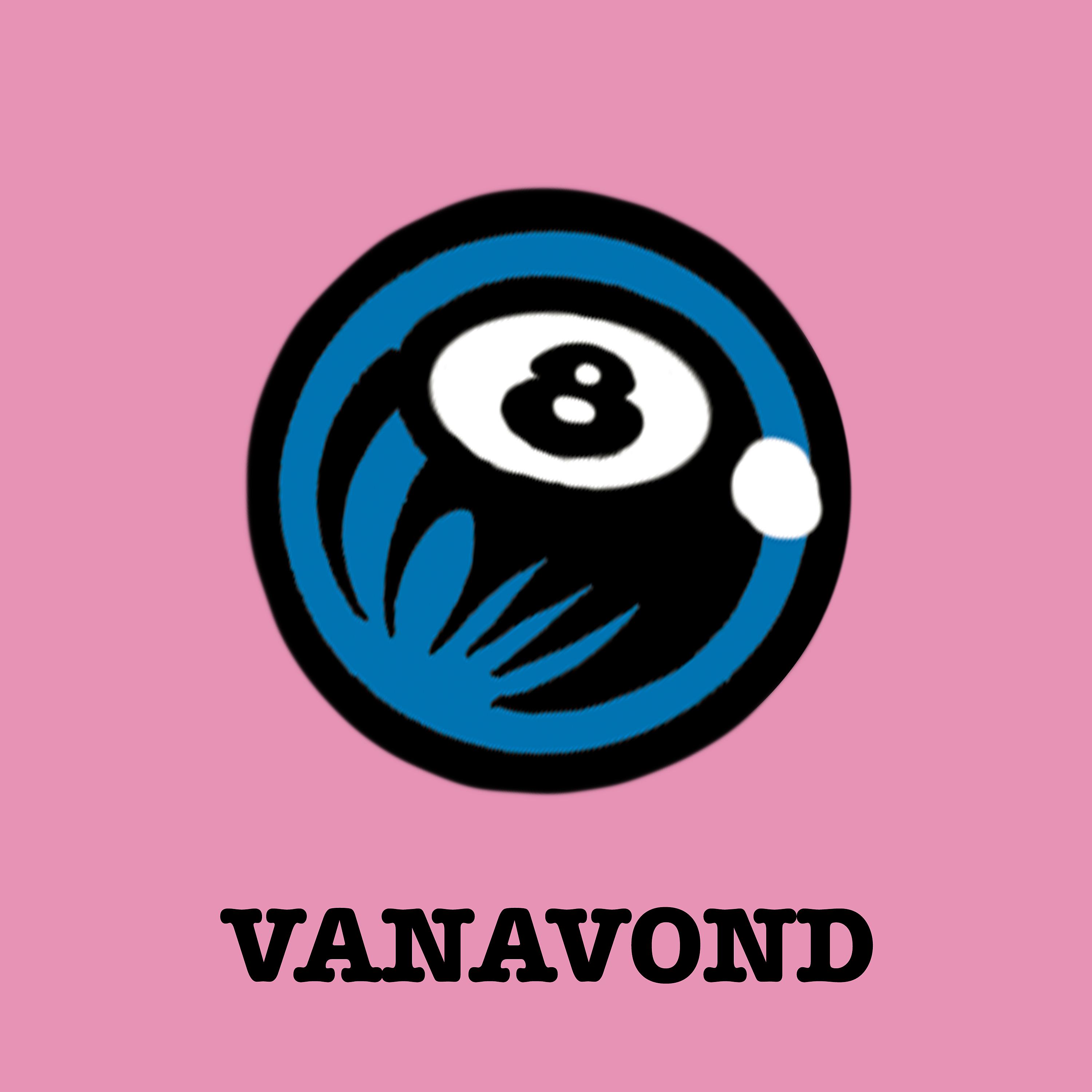 Постер альбома Vanavond