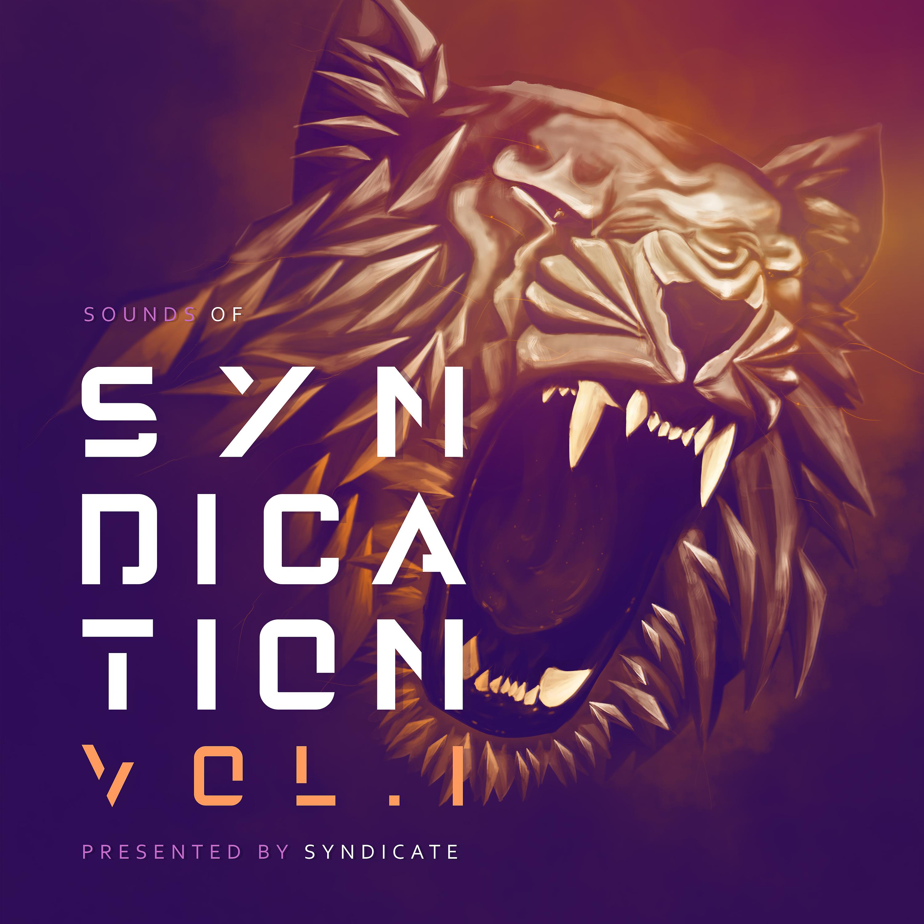 Постер альбома Sounds of Syndication, Vol .1 Presented by Syndicate