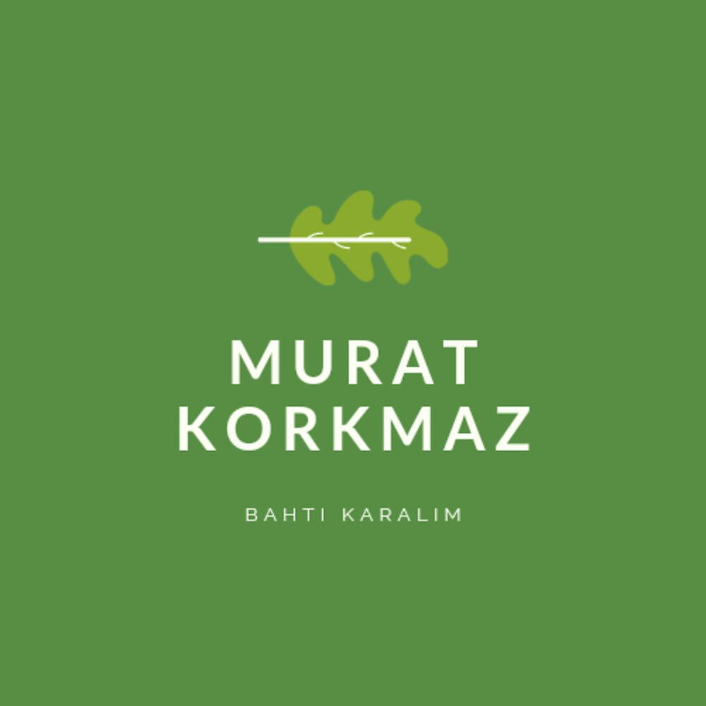 Постер альбома Bahti Karalim