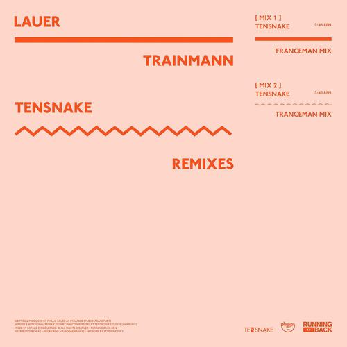 Постер альбома Trainmann (Tensnake Remixes)