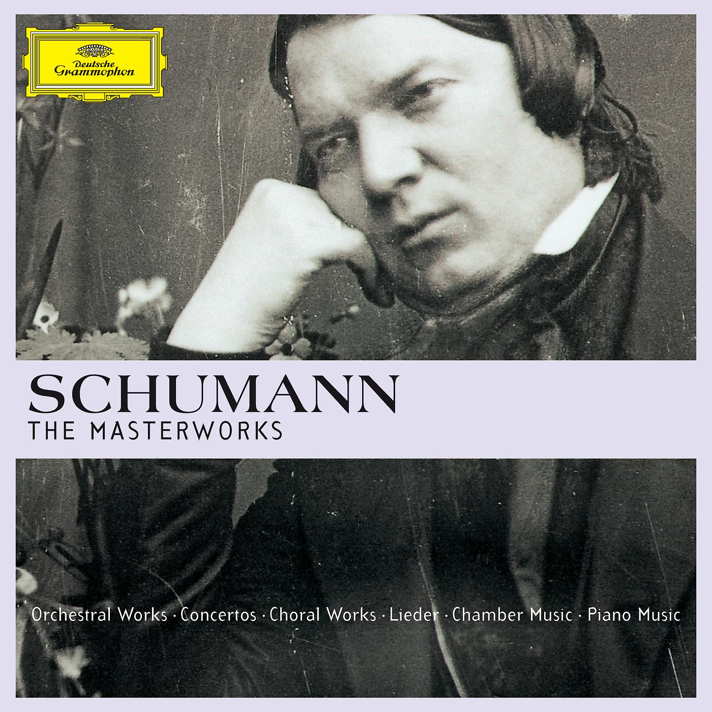 Постер альбома Schumann - The Masterworks
