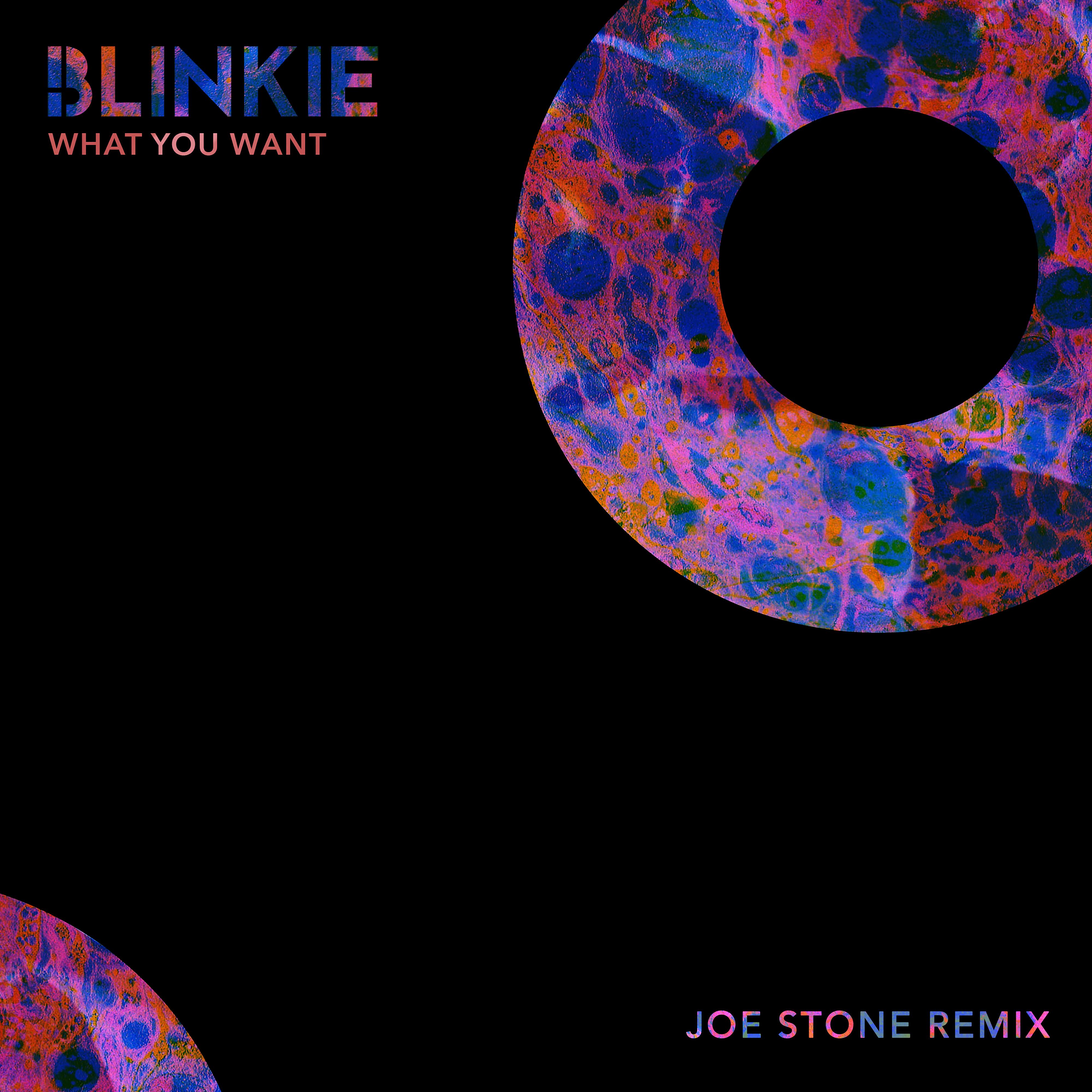 Постер альбома What You Want (Joe Stone Remix)