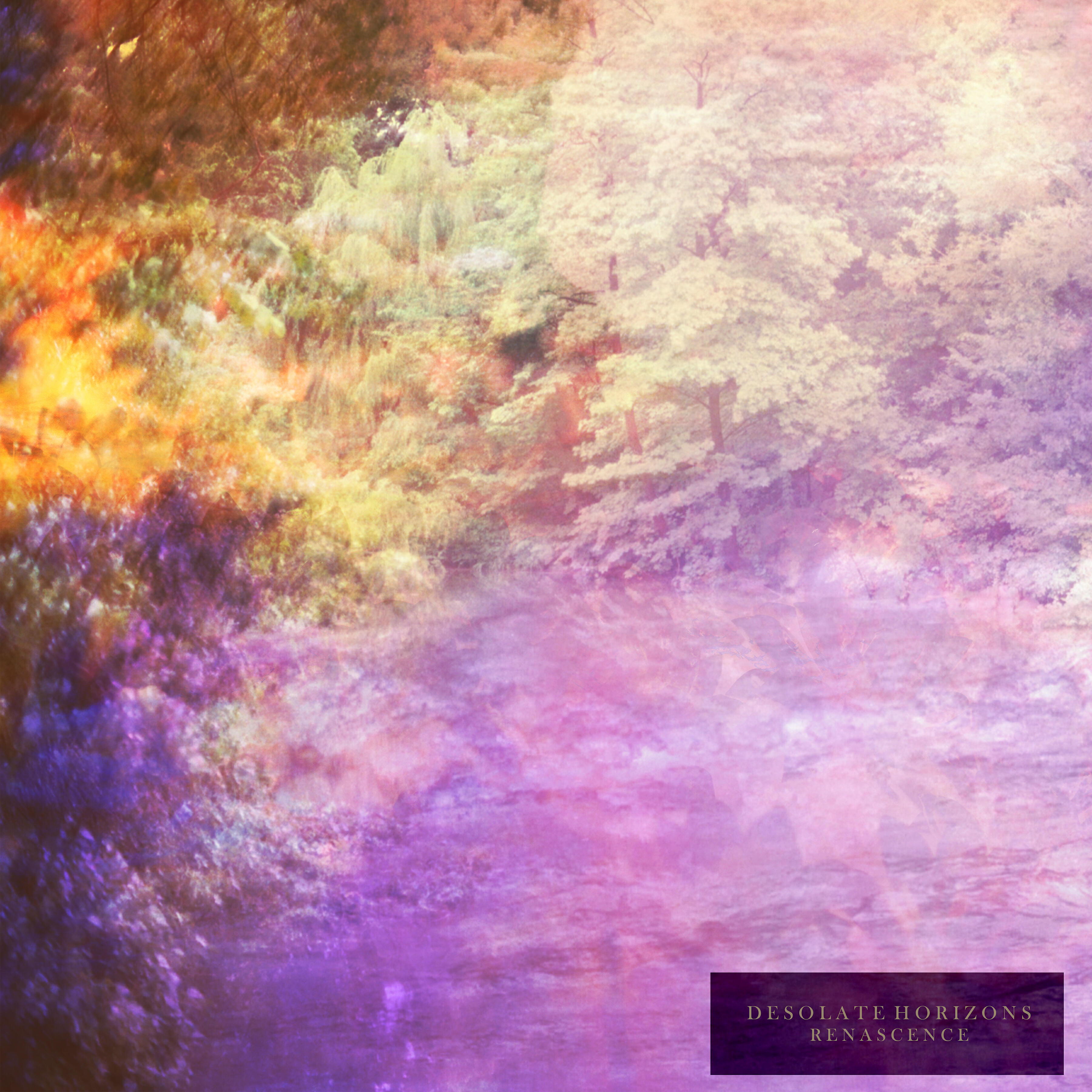 Desolate Horizons - Renascence (Continuous Mix)