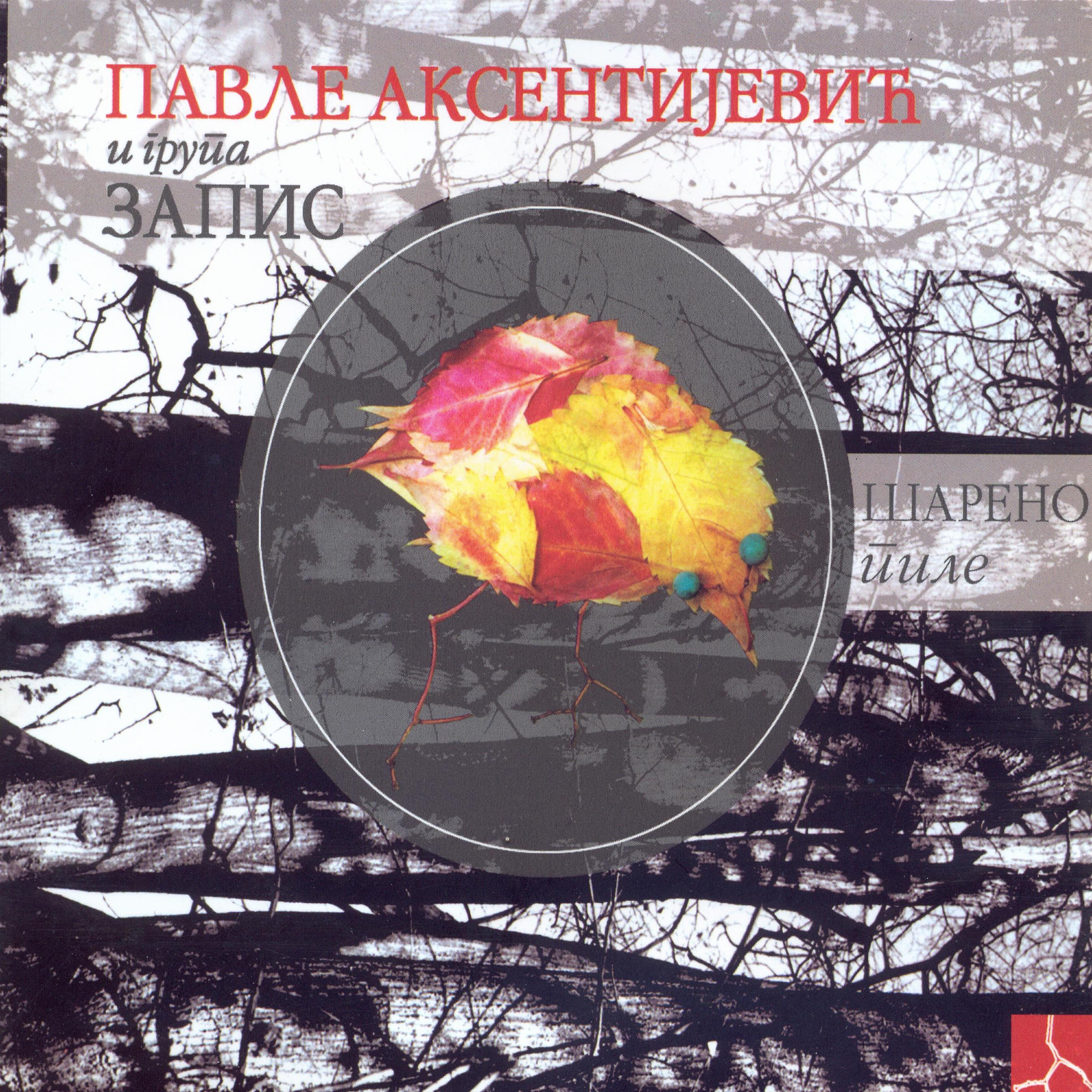 Pavle Aksentijevic - Zlata (Rusalisko oro)